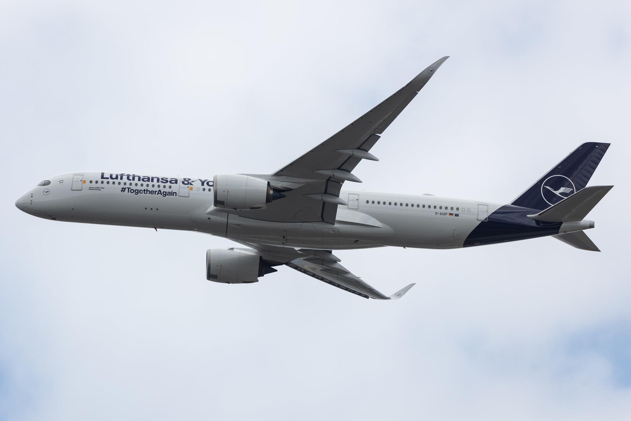 Frankfurt Airport: Lufthansa (LH / DLH) |  Livery: 