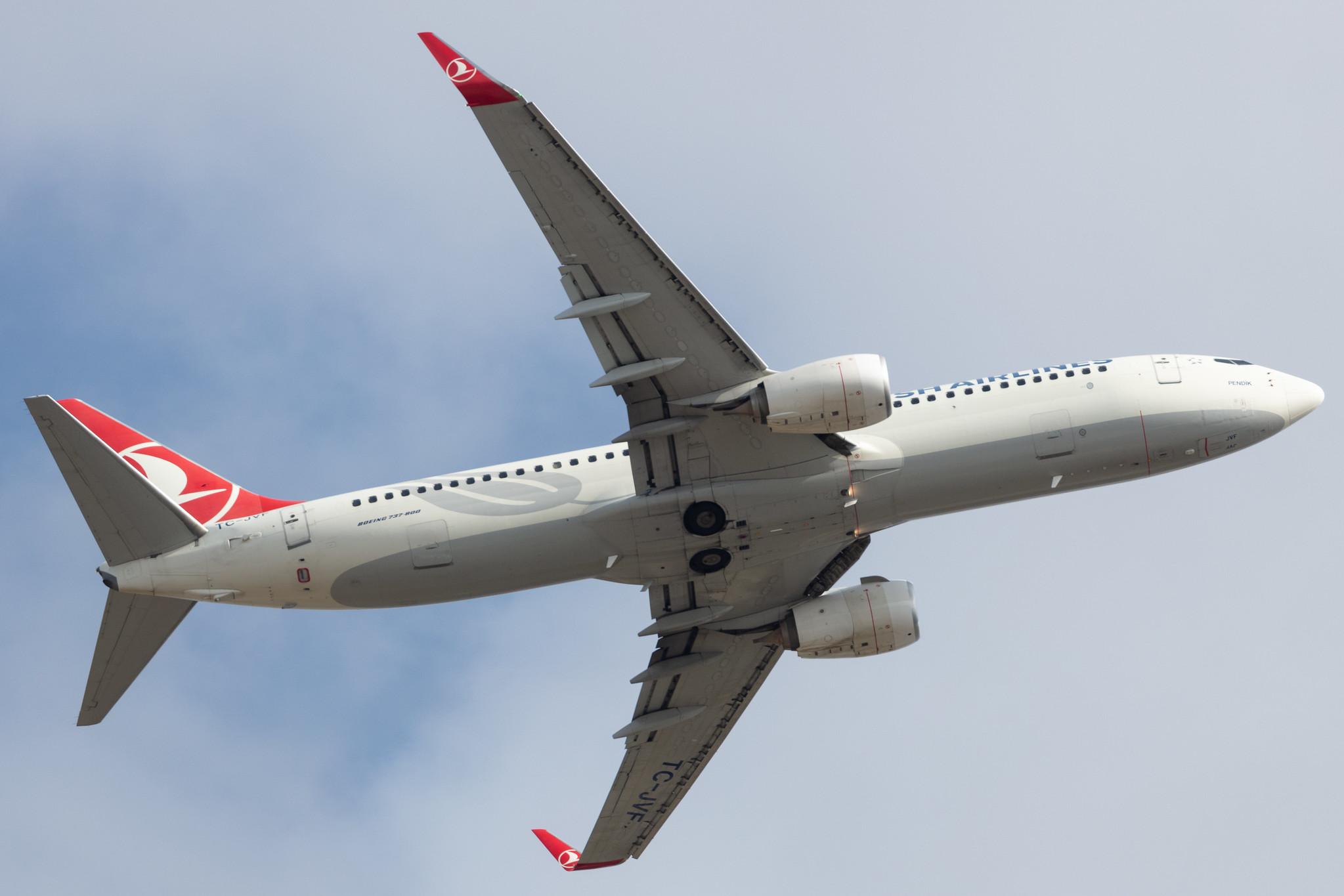 Frankfurt Airport: Turkish Airlines (TK / THY) |  Boeing 737-8F2 B738 | TC-JVF | MSN 42008