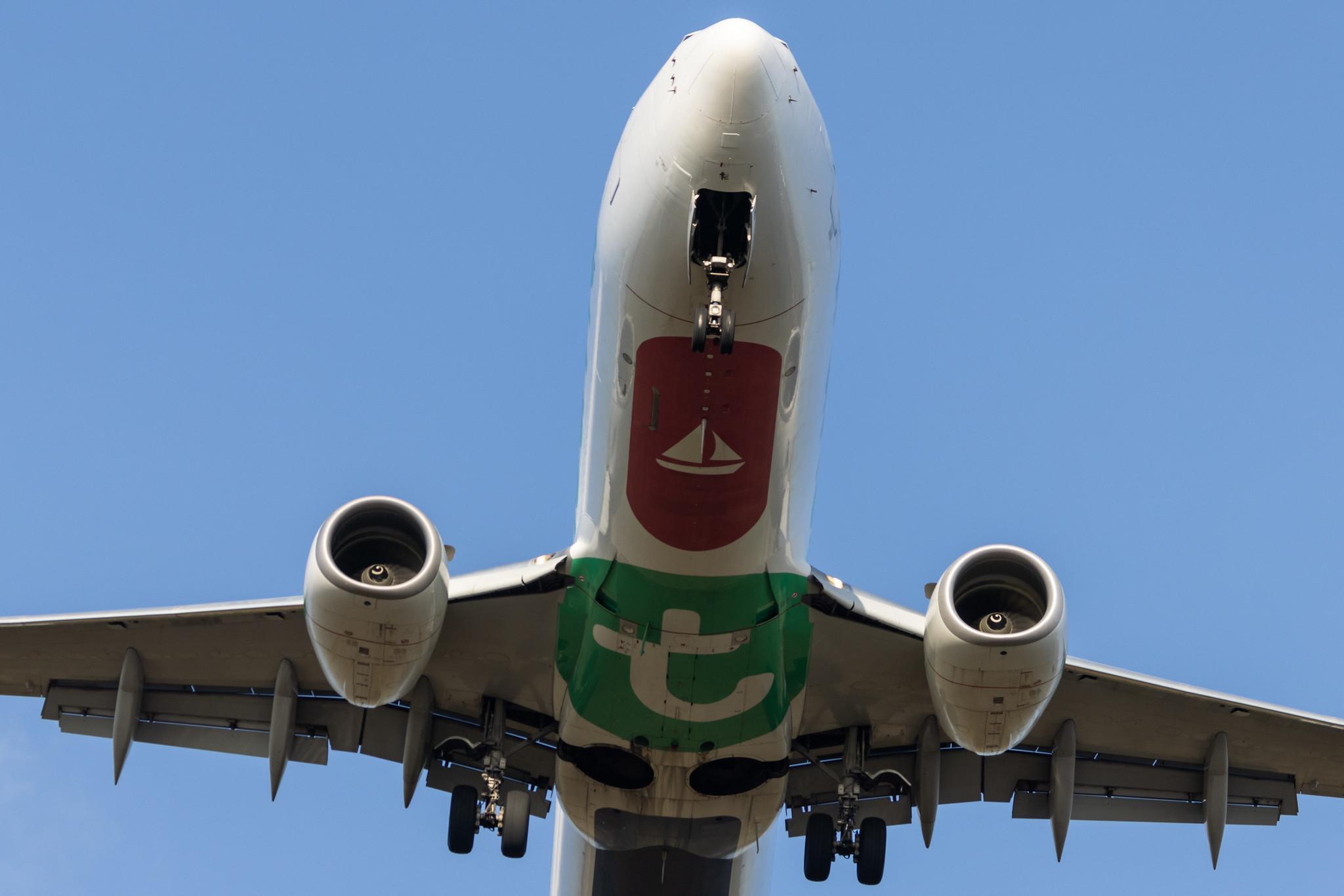 Flughafen Berlin Brandenburg: Transavia (HV / TRA) | Operator: Transavia France |  Boeing 737-8K2 B738 | F-GZHD | MSN 29650