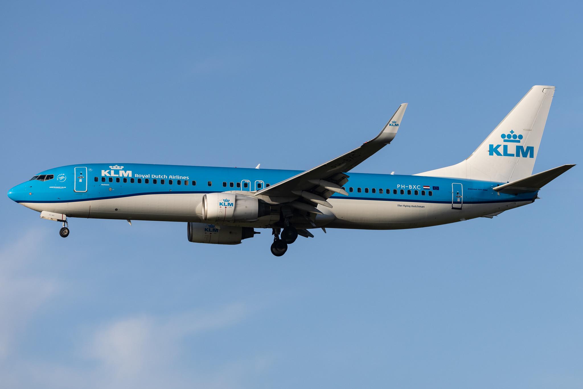 Amsterdam Schiphol: KLM (KL / KLM) | Boeing 737-8K2 B738 | PH-BXC | MSN 29133