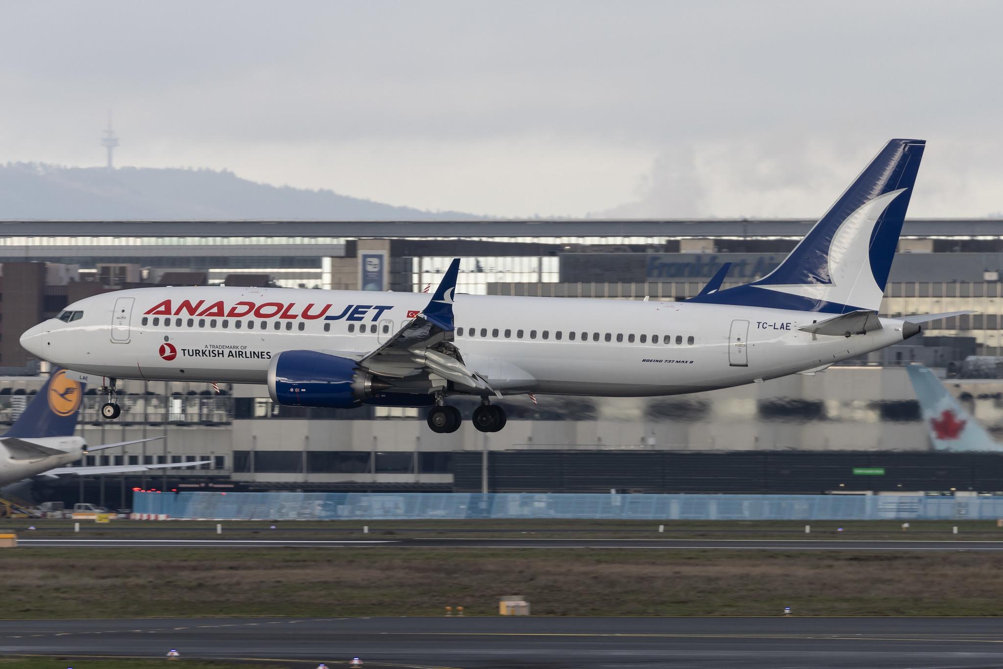 Frankfurt Airport: AnadoluJet (TK / THY) | Operator: Turkish Airlines | Boeing 737 MAX 8 B38M | TC-LAE | MSN 44656