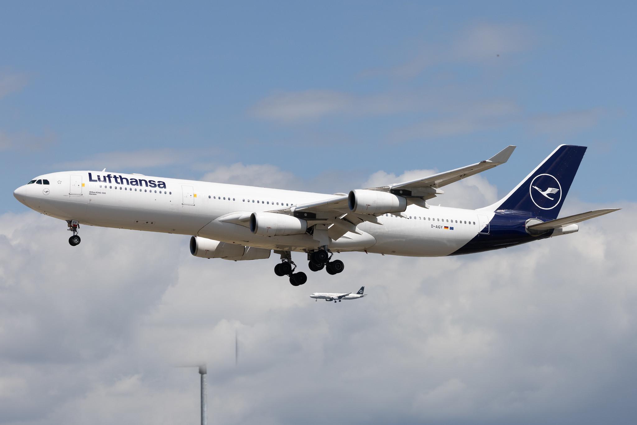 Frankfurt Airport: Lufthansa (LH / DLH) |  Airbus A340-313 A343 | D-AIGY | MSN 0335