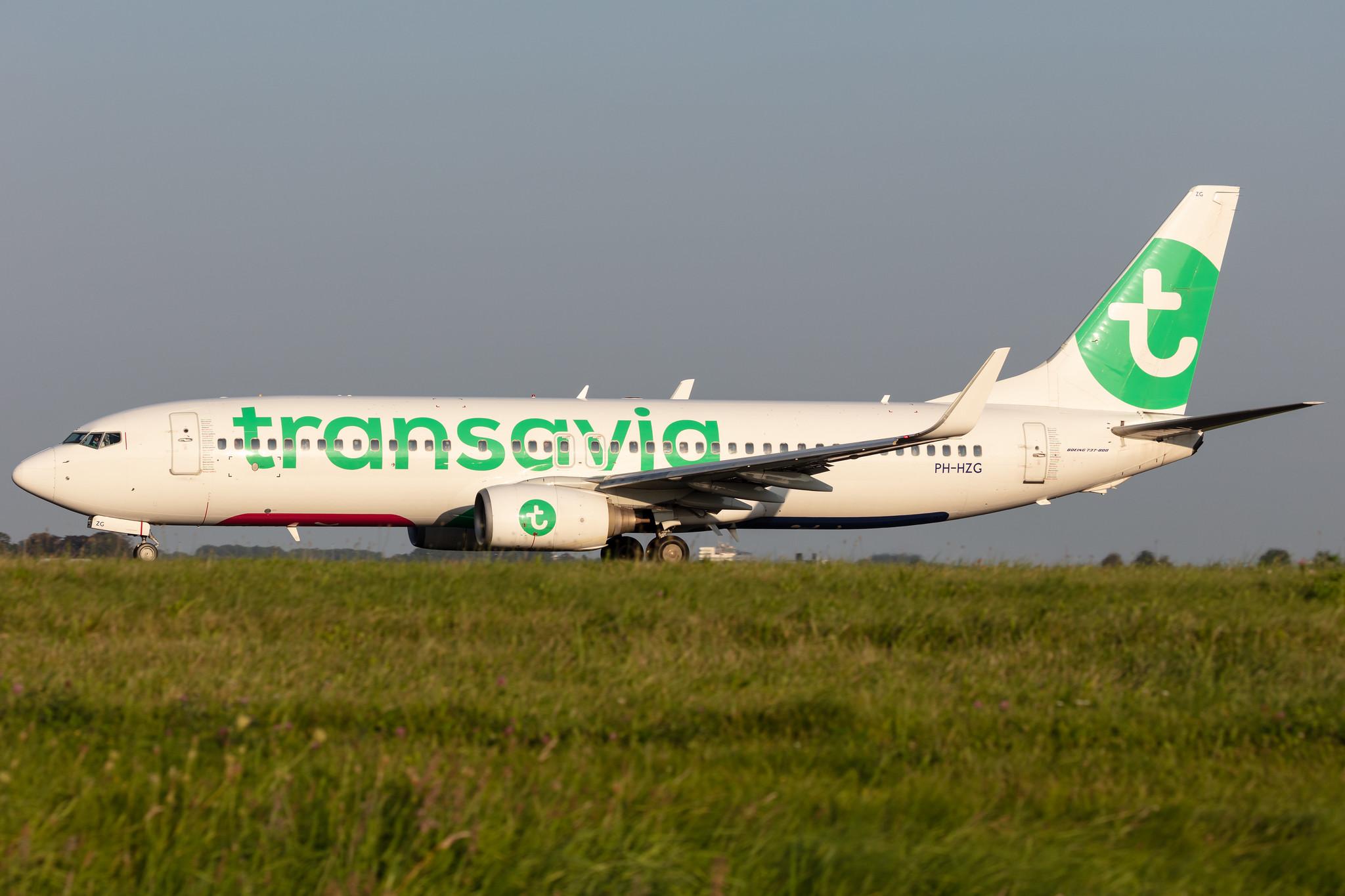 Amsterdam Schiphol: Transavia (HV / TRA) |  Boeing 737-8K2 B738 | PH-HZG | MSN 28379