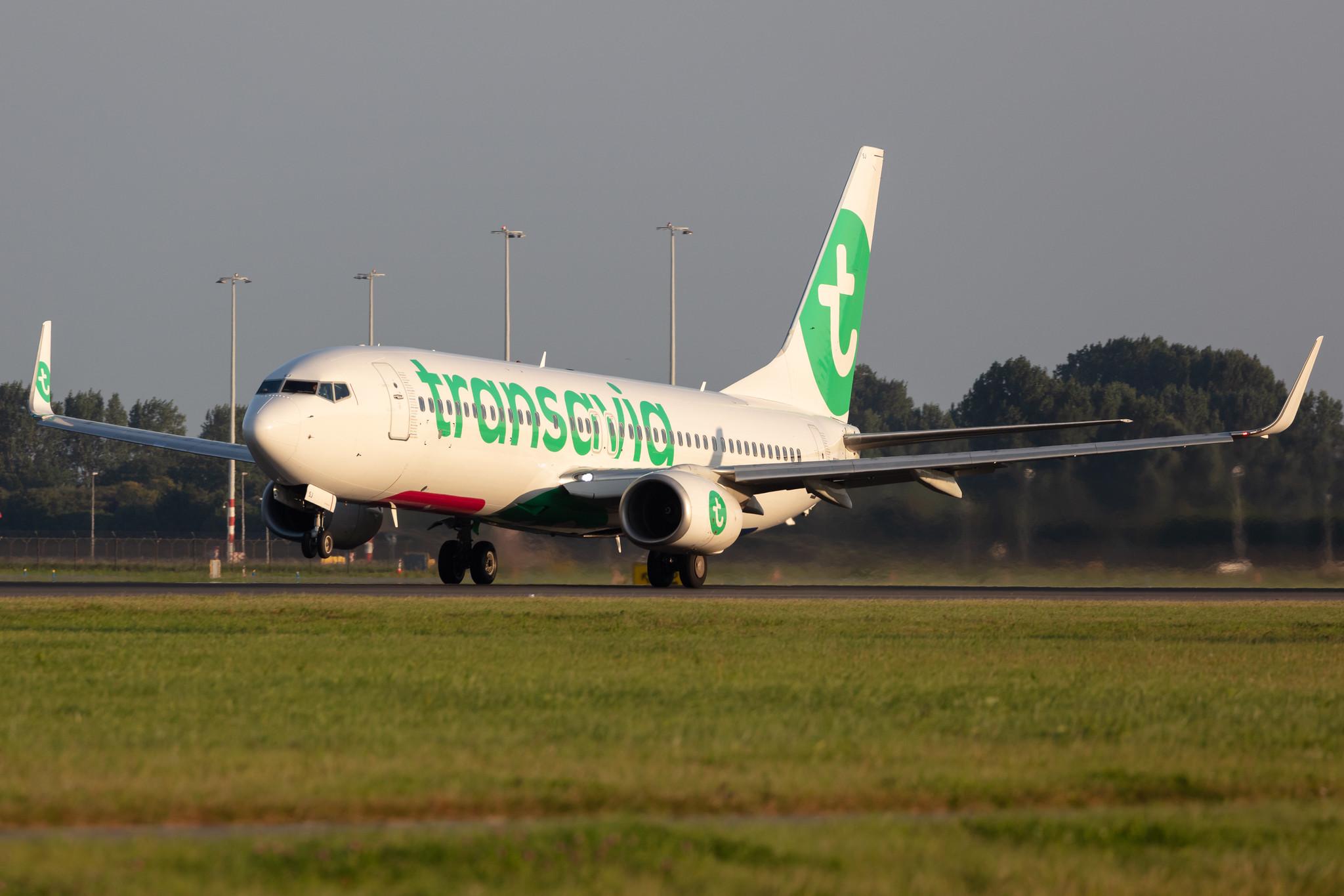 Amsterdam Schiphol: Transavia (HV / TRA) |  Boeing 737-8K2 B738 | PH-HSJ | MSN 42150