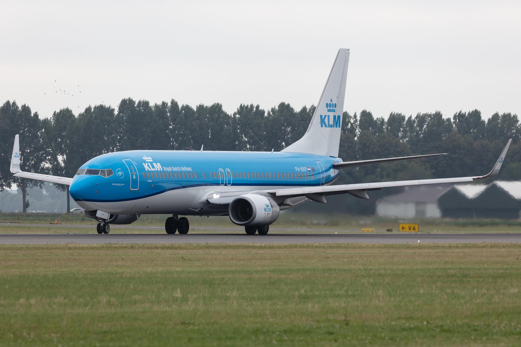 Amsterdam Schiphol: KLM (KL / KLM) |  Boeing 737-8K2 B738 | PH-BXF | MSN 29596