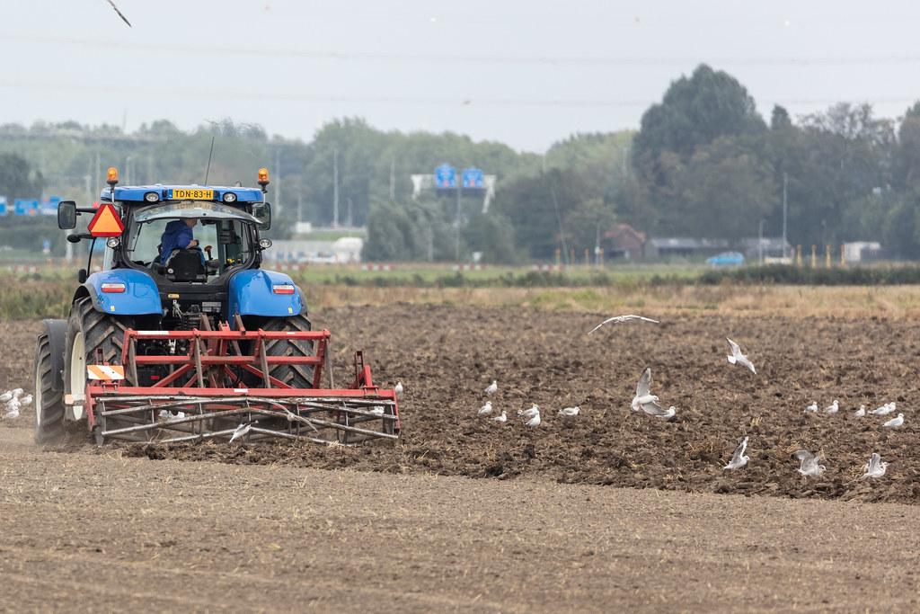 Amsterdam Schiphol: Traktor beim pflügen