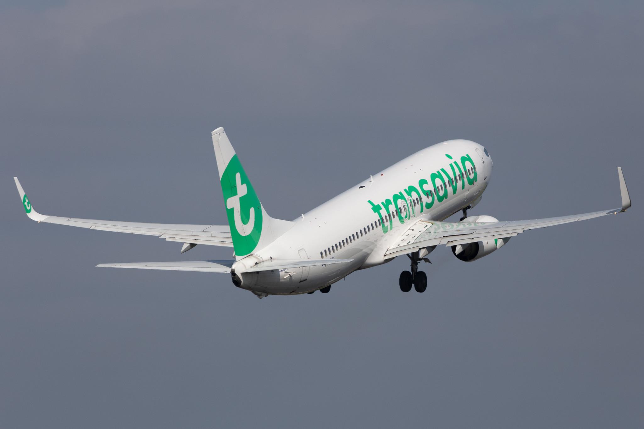 Amsterdam Schiphol: Transavia (HV / TRA) |  Boeing 737-8K2 B738 | PH-HZG | MSN 28379