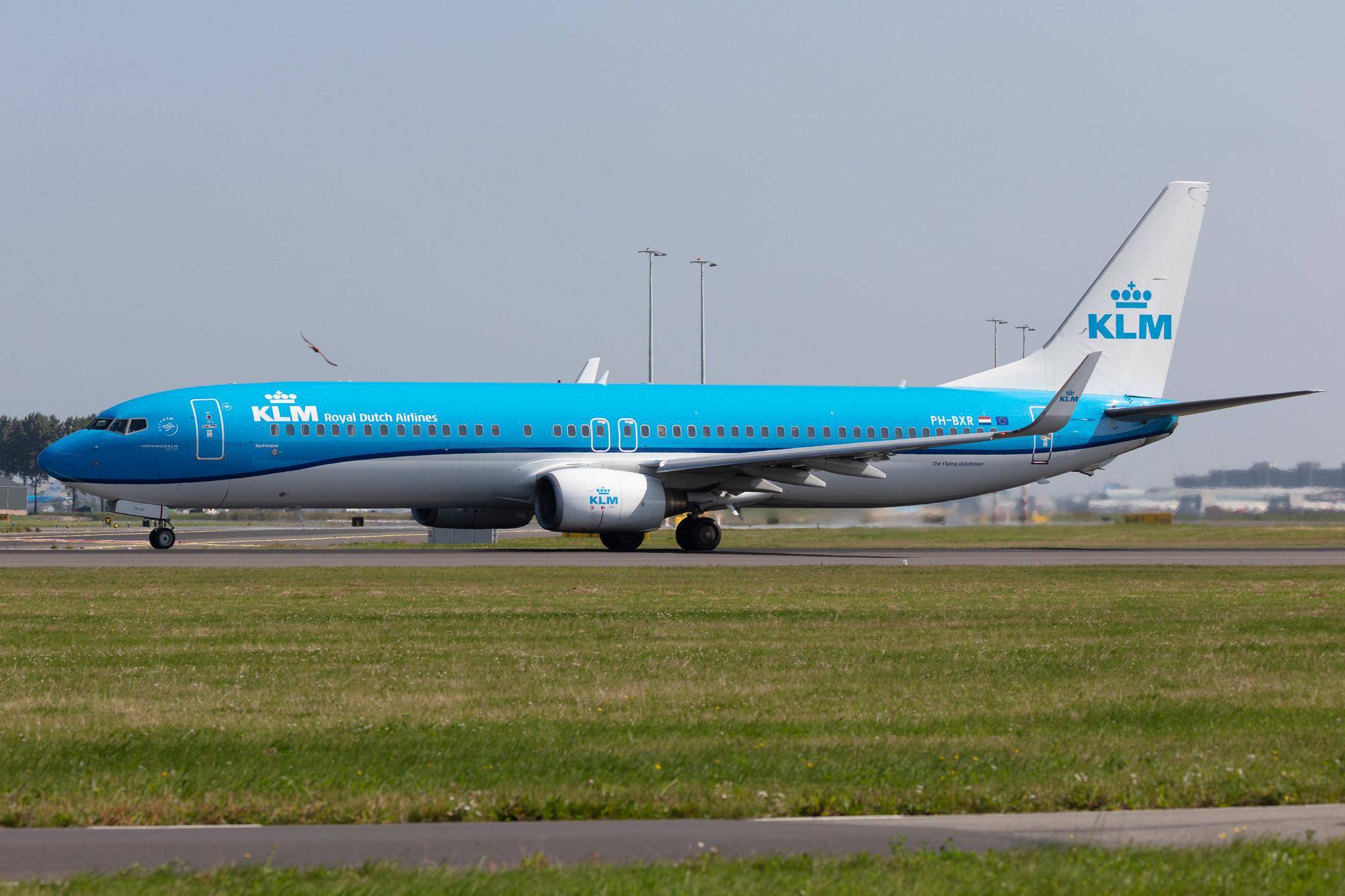 Amsterdam Schiphol: KLM (KL / KLM) |  Boeing 737-9K2 B739 | PH-BXR | MSN 29601