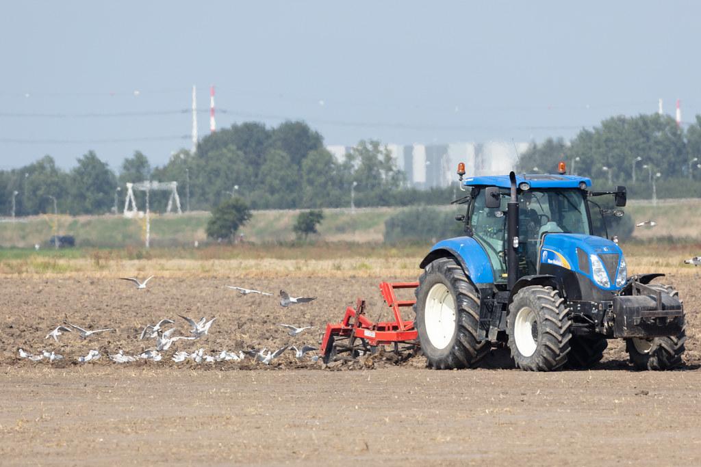 Amsterdam Schiphol: Traktor