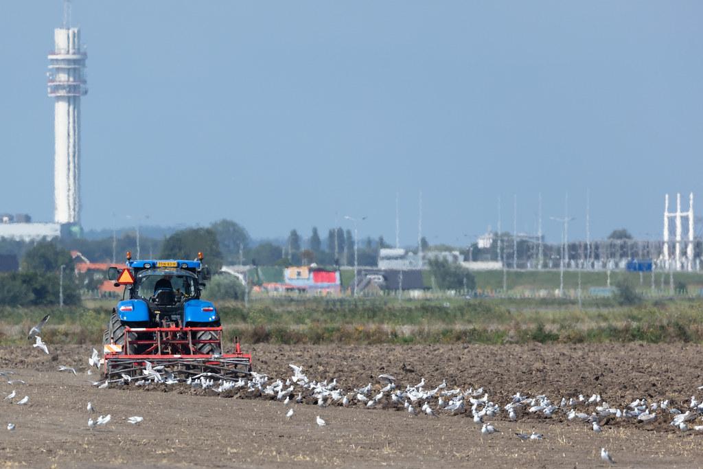 Amsterdam Schiphol: Traktor