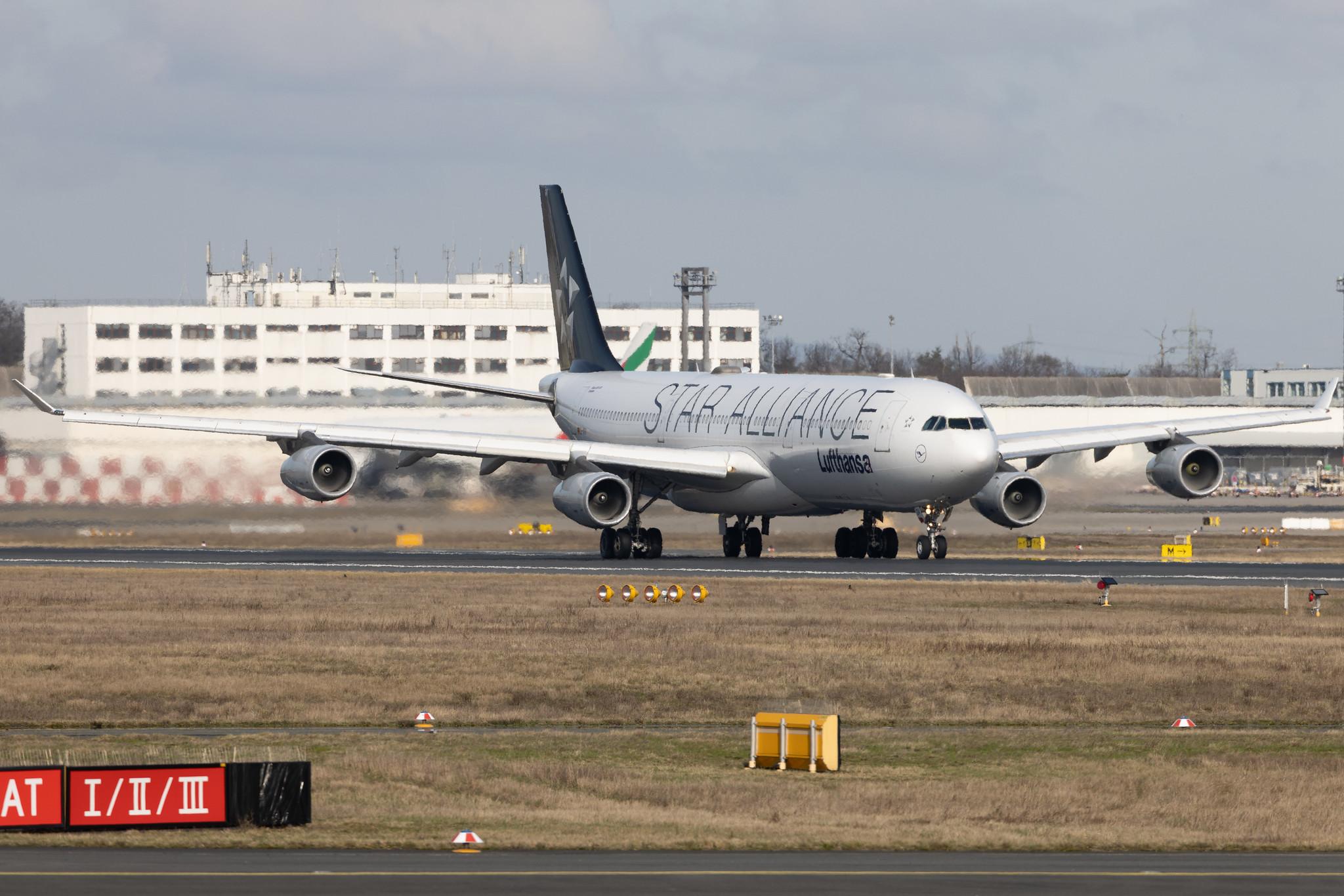 Frankfurt Airport: Lufthansa (LH / DLH) | Livery: Star Alliance Livery | Airbus A340-313 A343 | D-AIGV | MSN 0325