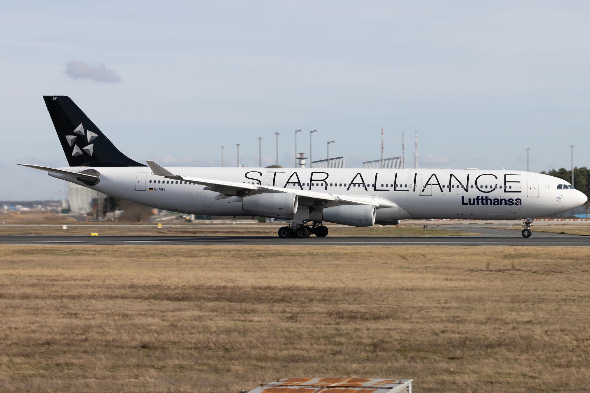 Frankfurt Airport: Lufthansa (LH / DLH) | Livery: Star Alliance Livery | Airbus A340-313 A343 | D-AIGV | MSN 0325