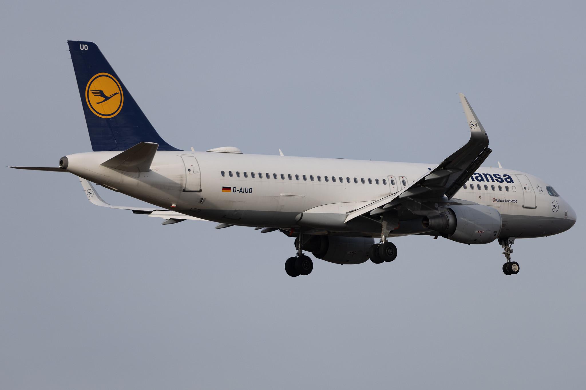 Frankfurt Airport: Lufthansa (LH / DLH) | Airbus A320-214 A320 | D-AIUO | MSN 6636