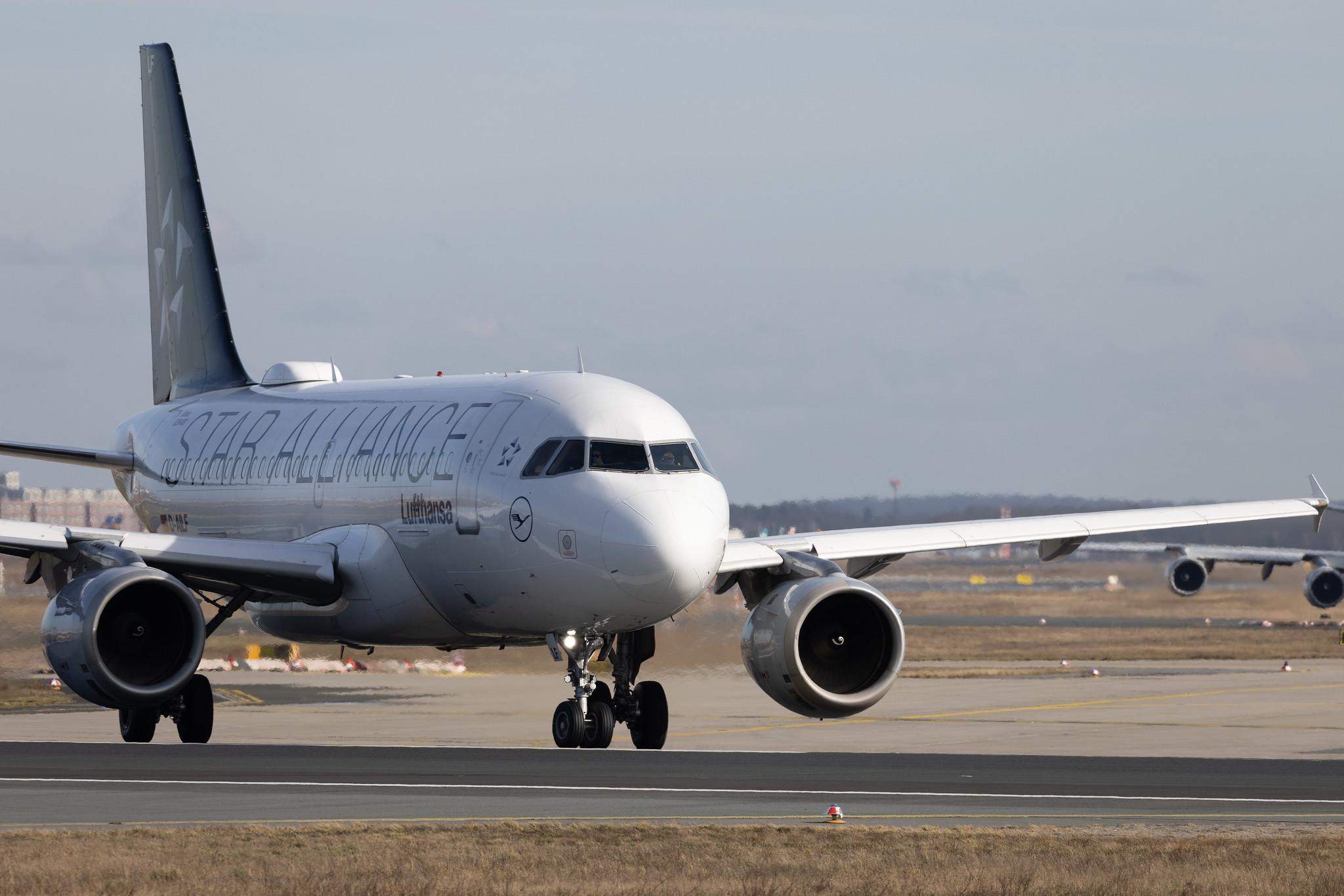 Frankfurt Airport: Lufthansa (LH / DLH) | Livery: Star Alliance Livery | Airbus A319-114 A319 | D-AILF | MSN 0636