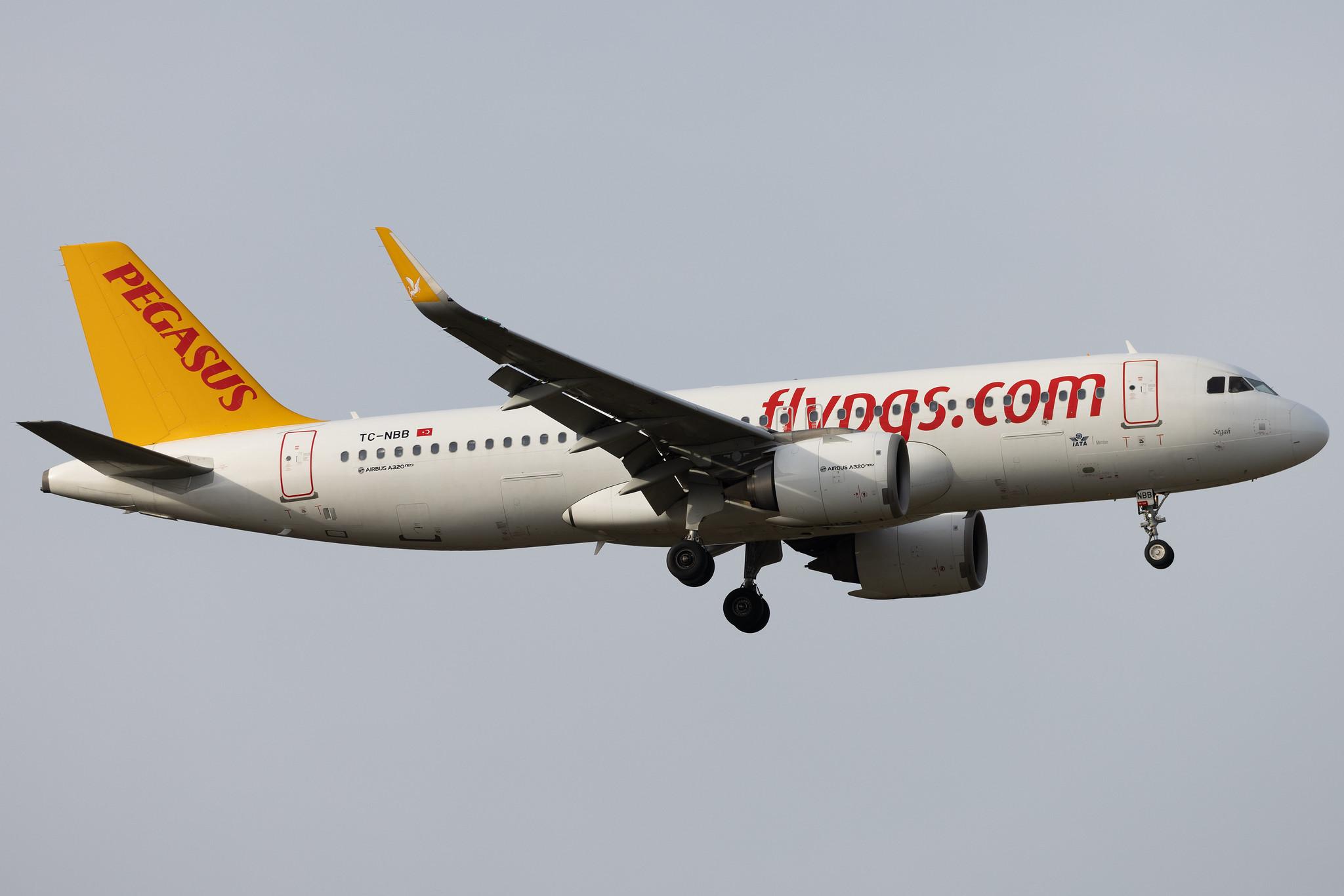 Frankfurt Airport: Pegasus (PC / PGT) | Operator: Pegasus Airlines | Airbus A320-251N A20N | TC-NBB | MSN 07147