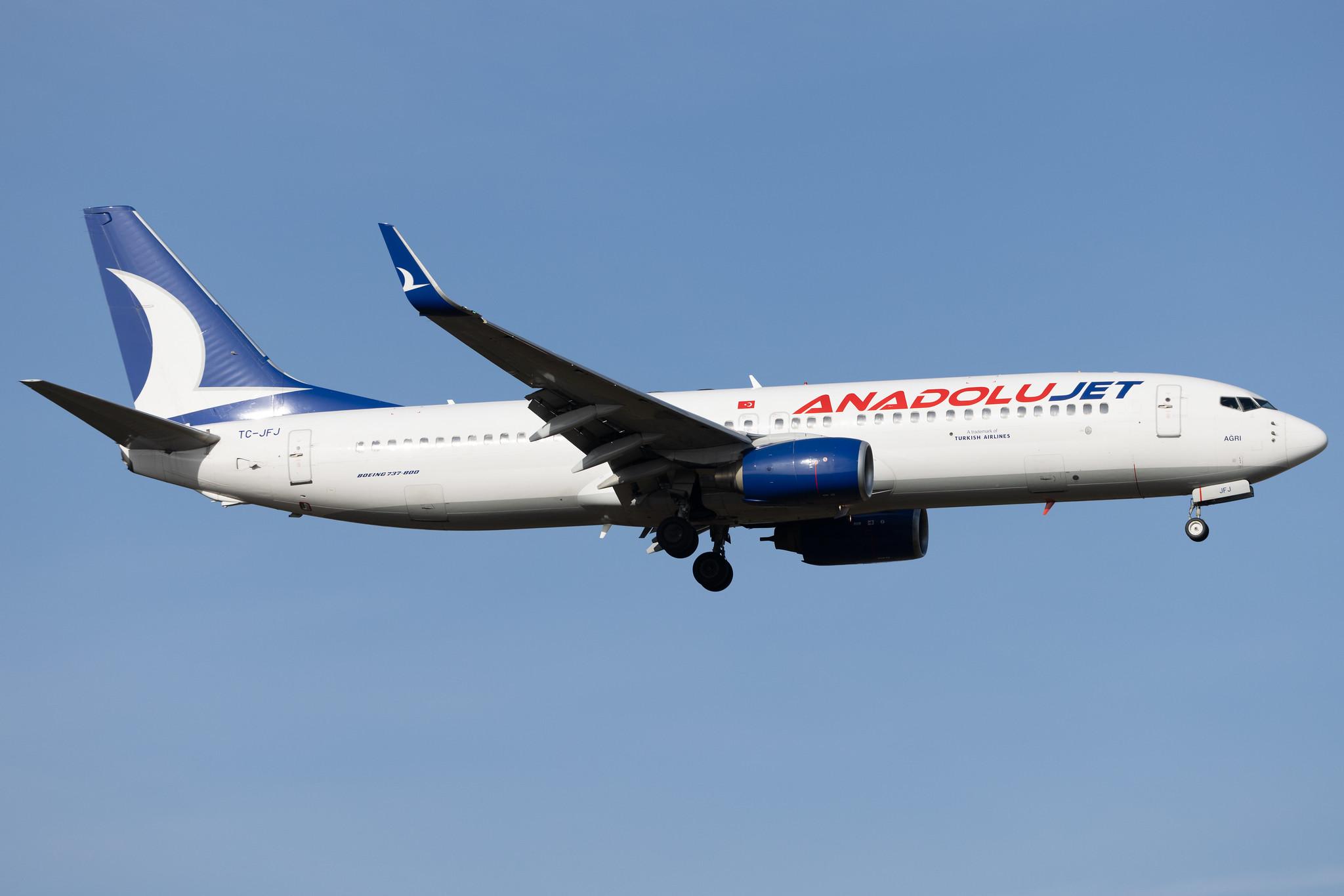 Frankfurt Airport: AnadoluJet (TK / THY) | Operator: Turkish Airlines | Boeing 737-8F2 B738 | TC-JFJ | MSN 29772