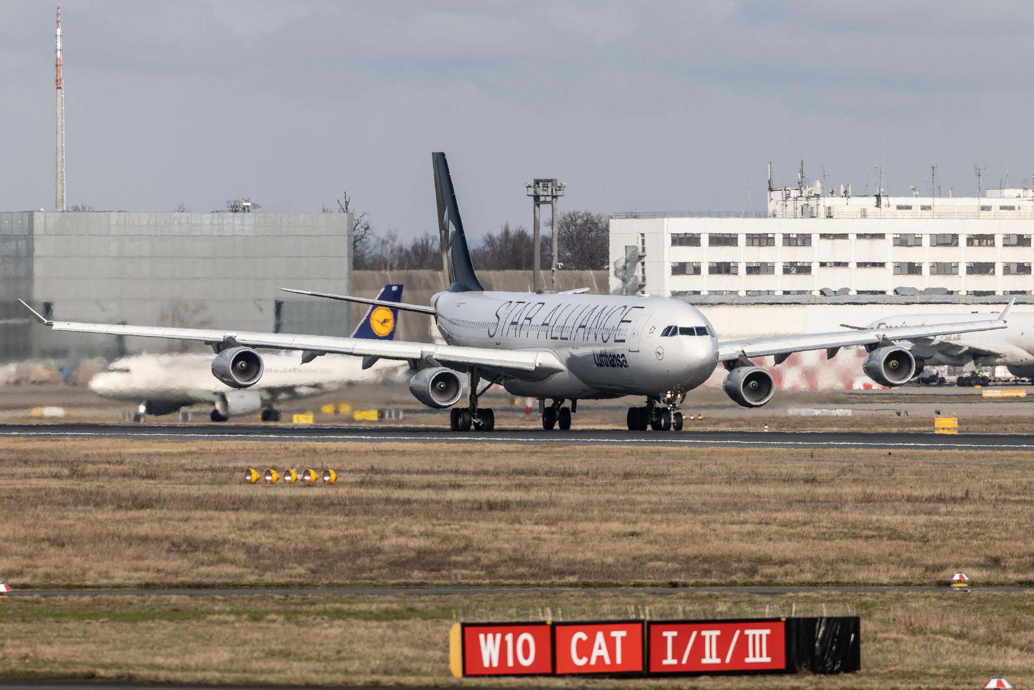 Frankfurt Airport: Lufthansa (LH / DLH) | Livery: Star Alliance Livery | Airbus A340-313 A343 | D-AIGV | MSN 0325