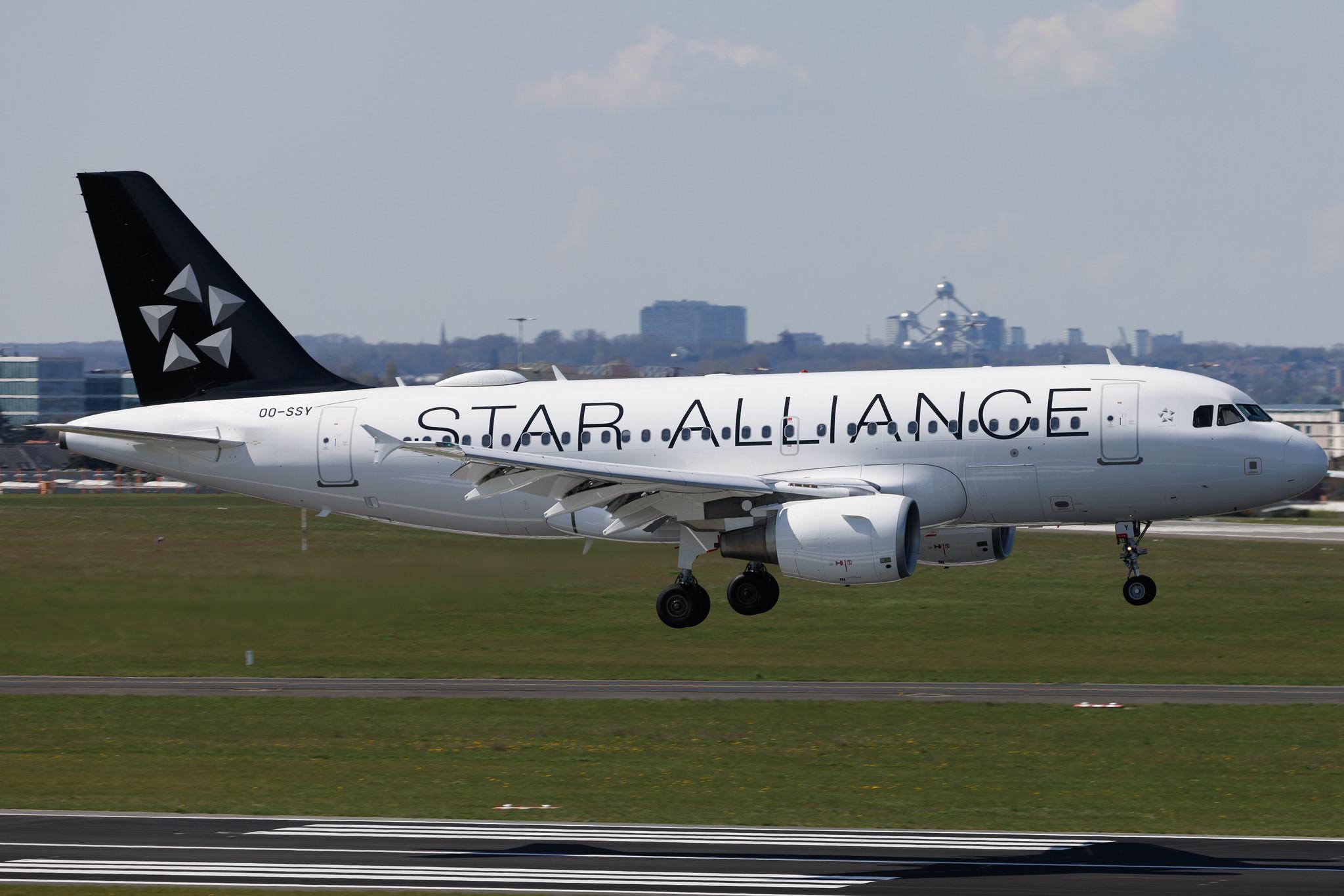 Brussels Airport: Brussels Airlines (SN / BEL) | Livery: Star Alliance Livery | Airbus A319-112 A319 | OO-SSY | MSN 2494