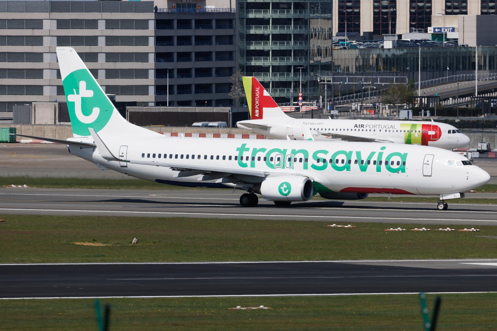 Brussels Airport: Transavia (HV / TRA) | Boeing 737-82R B738 | PH-HBJ | MSN 40696