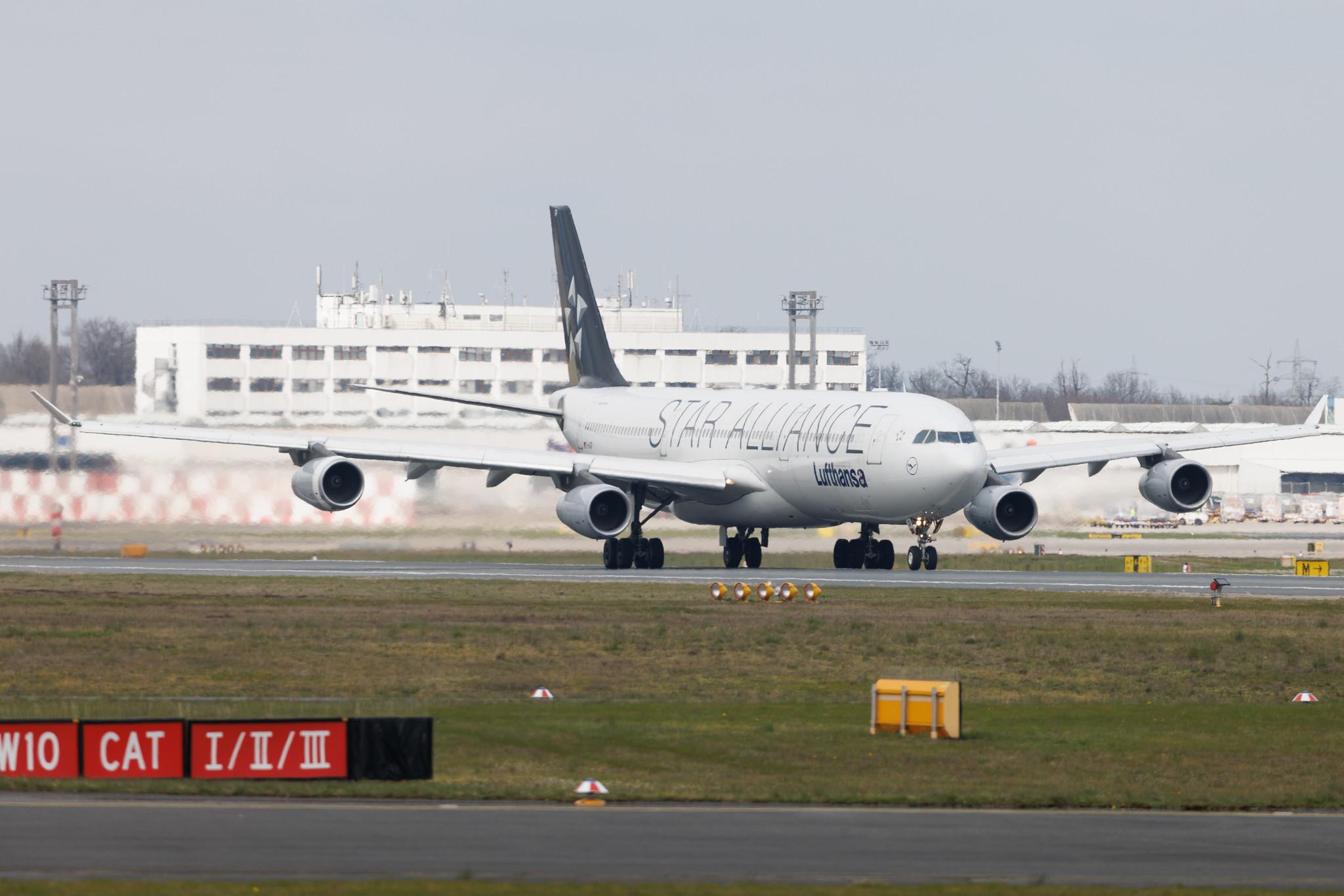 Frankfurt Airport: Lufthansa (LH / DLH) | Livery: Star Alliance Livery | Airbus A340-313 A343 | D-AIGP | MSN 0252