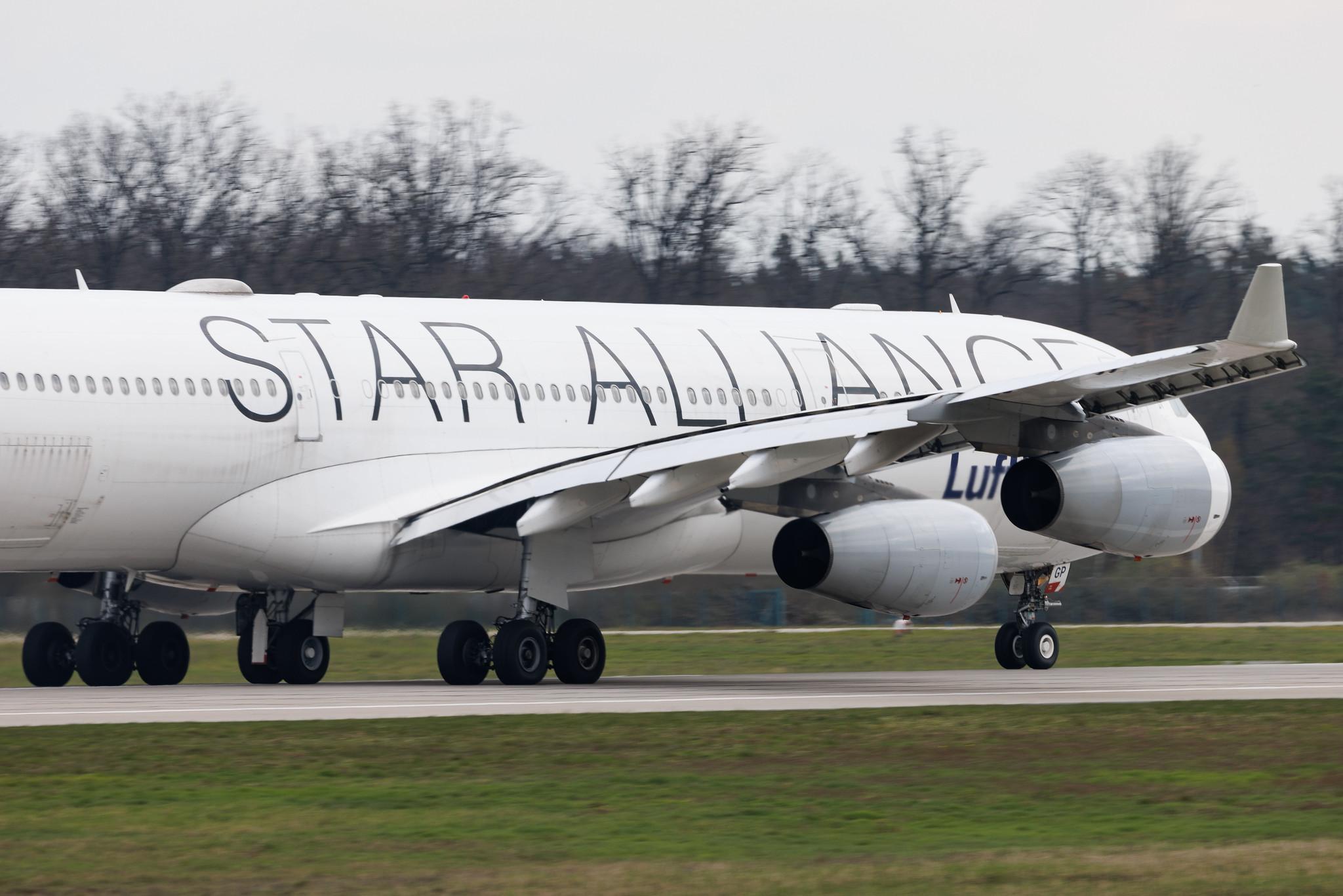 Frankfurt Airport: Lufthansa (LH / DLH) | Livery: Star Alliance Livery | Airbus A340-313 A343 | D-AIGP | MSN 0252