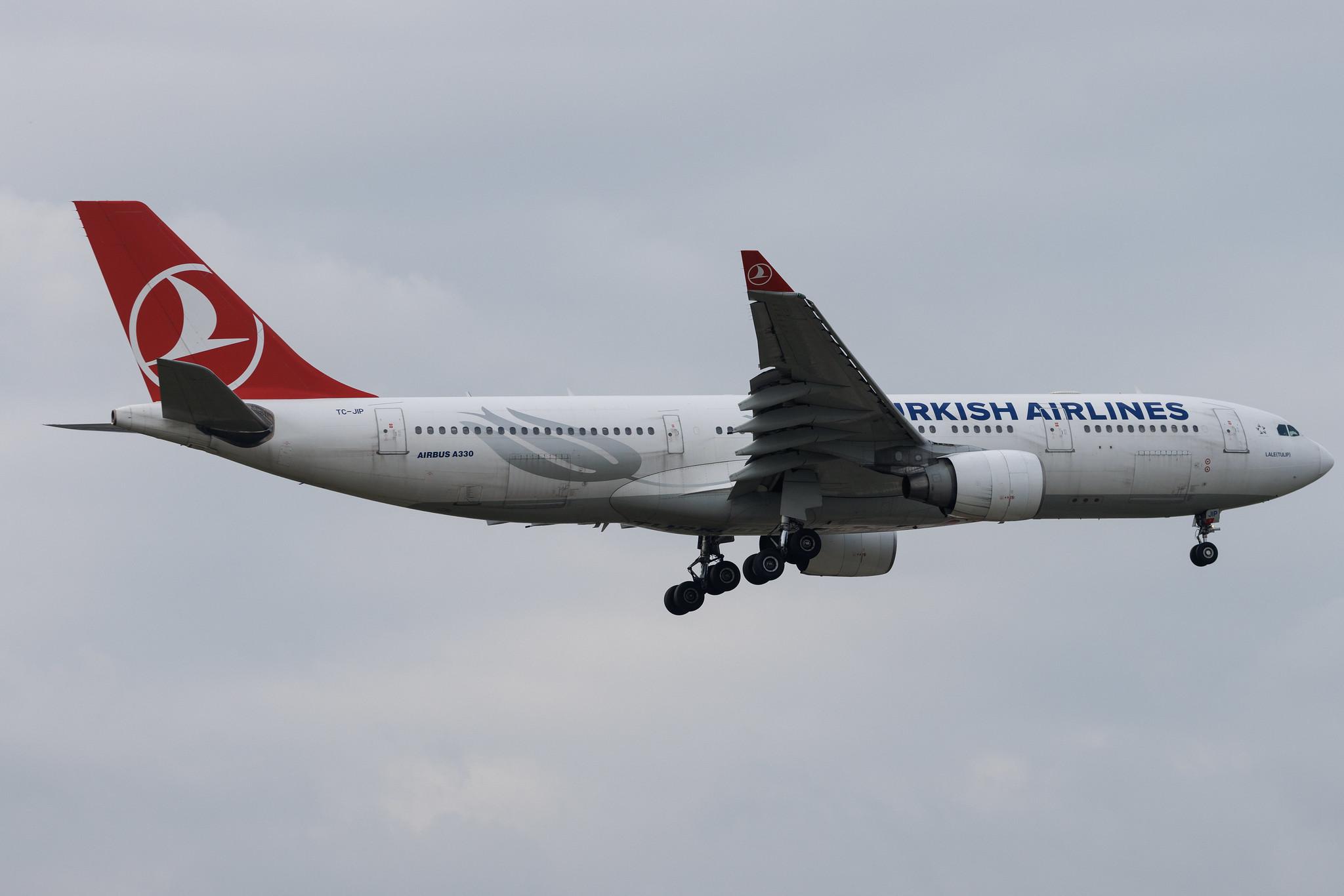 Frankfurt Airport: Turkish Airlines (TK / THY) | Airbus A330-223 A332 | TC-JIP | MSN 0876