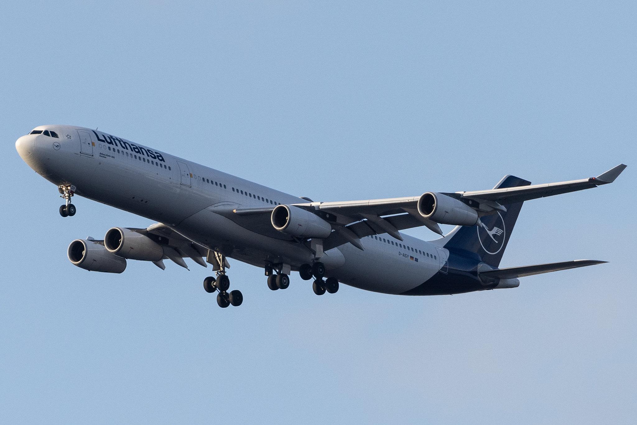 Frankfurt Airport: Lufthansa (LH / DLH) | Airbus A340-313 A343 | D-AIGY | MSN 0335