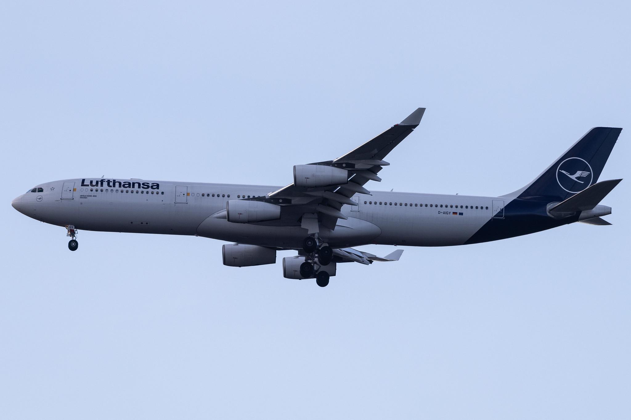 Frankfurt Airport: Lufthansa (LH / DLH) | Airbus A340-313 A343 | D-AIGY | MSN 0335