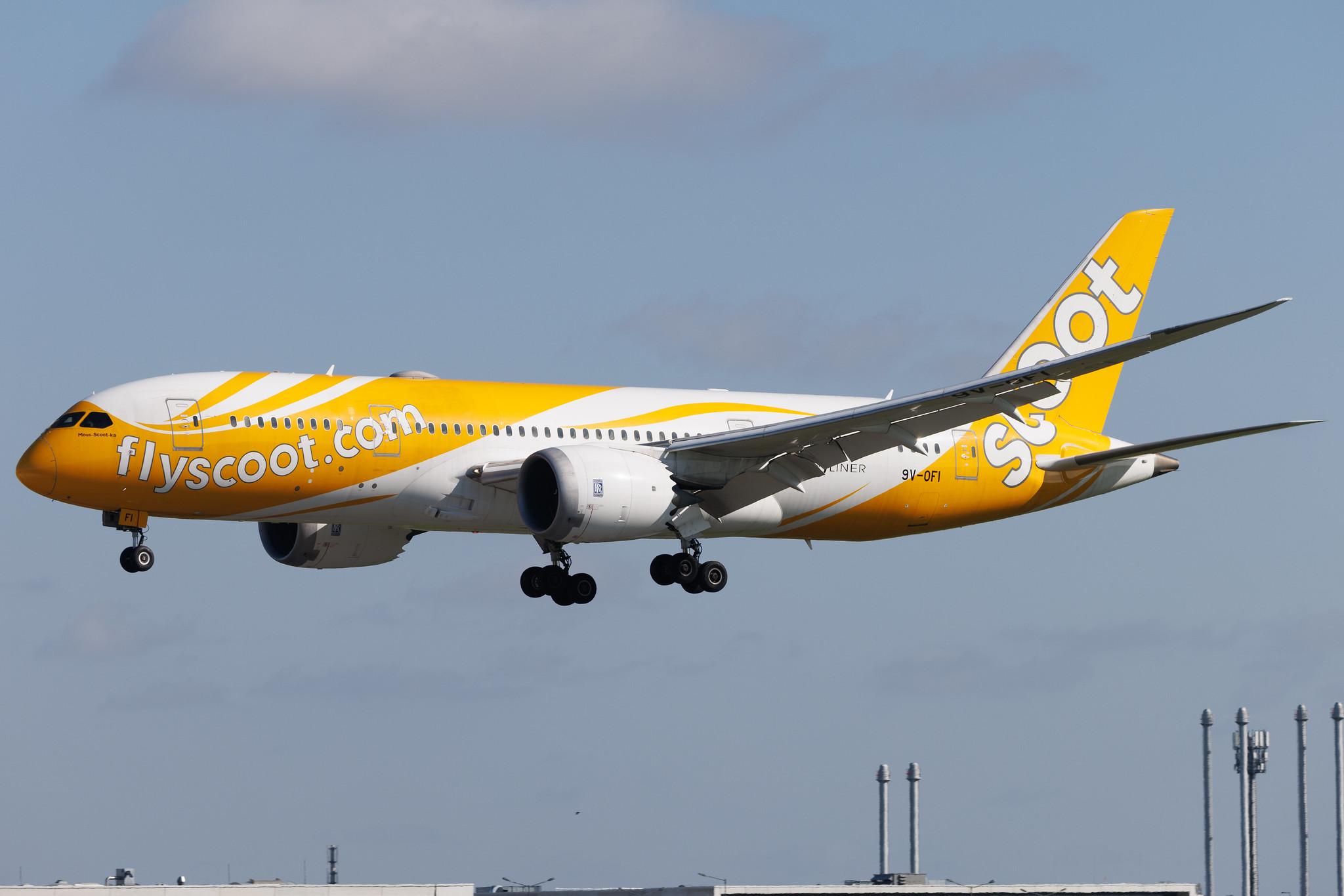 Flughafen Berlin Brandenburg: Scoot (TR / TGW) | Boeing 787-8 Dreamliner B788 | 9V-OFI | MSN 37125