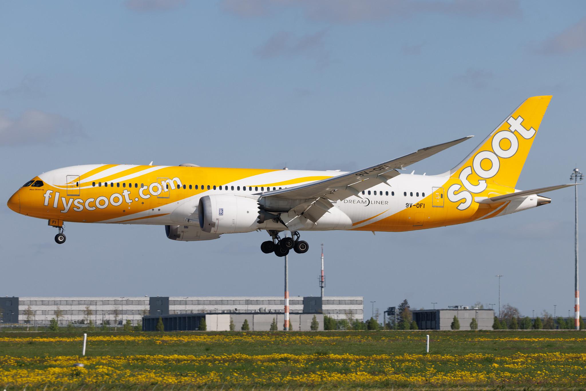 Flughafen Berlin Brandenburg: Scoot (TR / TGW) | Boeing 787-8 Dreamliner B788 | 9V-OFI | MSN 37125