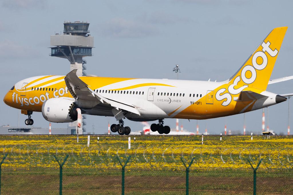 Flughafen Berlin Brandenburg: Scoot (TR / TGW) | Boeing 787-8 Dreamliner B788 | 9V-OFI | MSN 37125