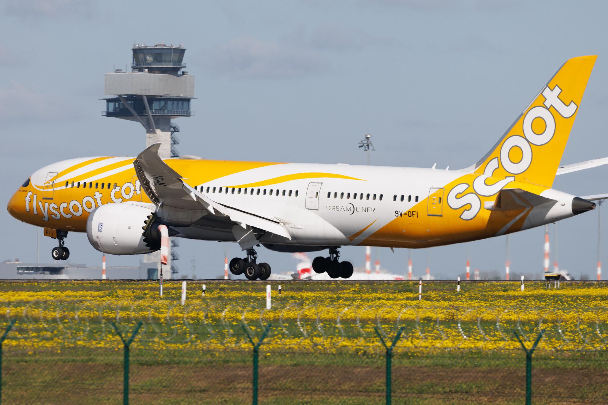 Flughafen Berlin Brandenburg: Scoot (TR / TGW) | Boeing 787-8 Dreamliner B788 | 9V-OFI | MSN 37125