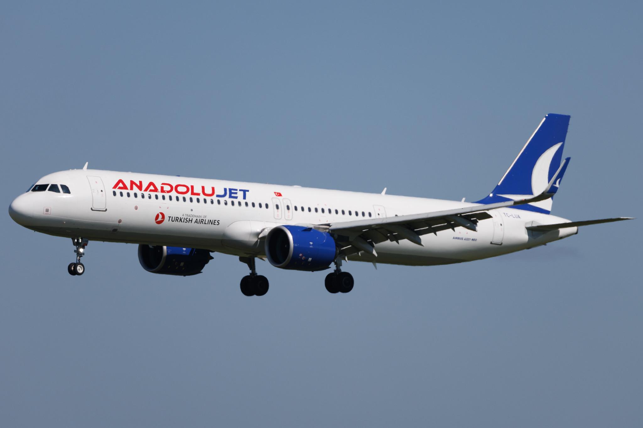 Flughafen Berlin Brandenburg: AnadoluJet (TK / THY) | Operator: Turkish Airlines | Airbus A321-271NX A21N | TC-LUA | MSN 10128