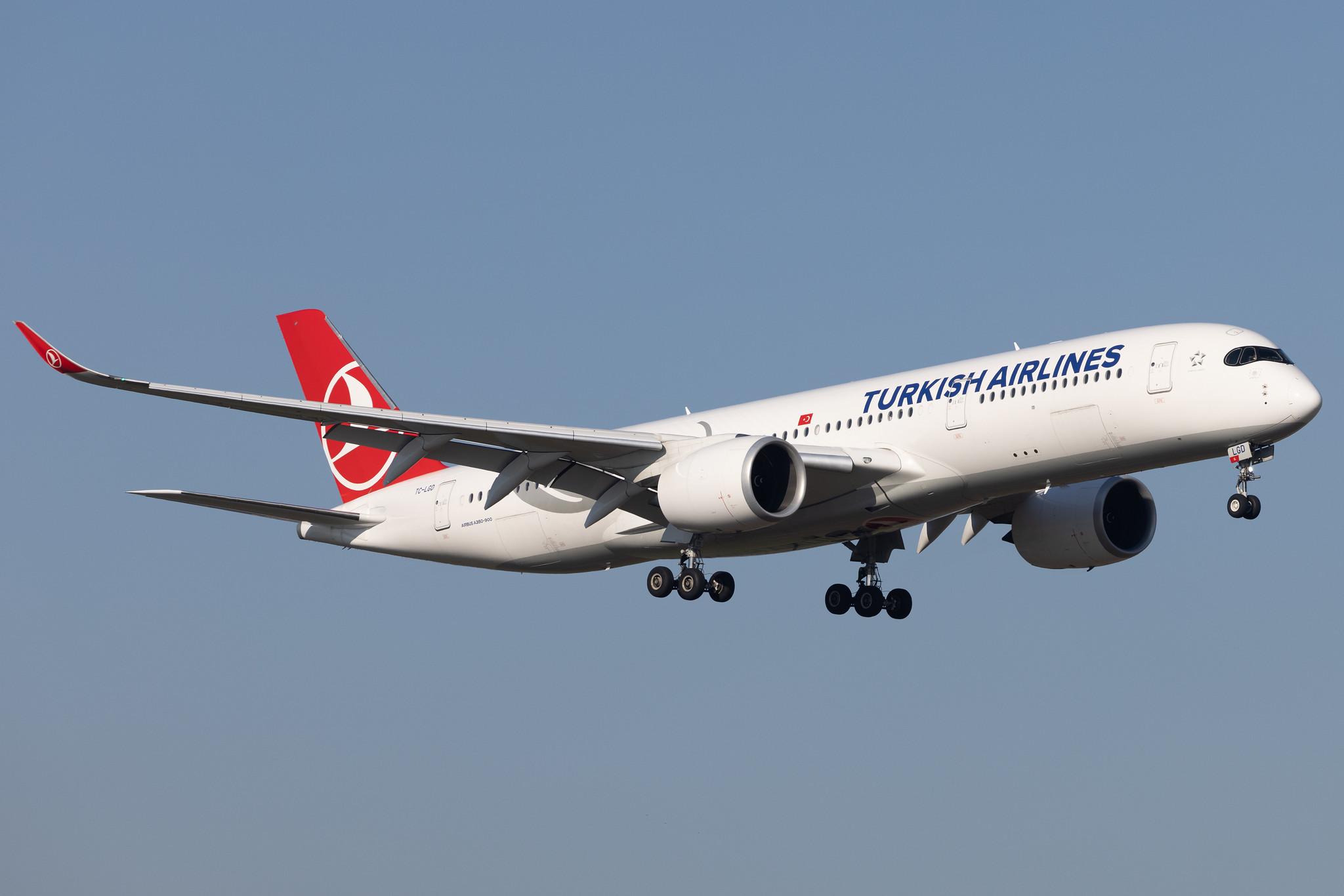 Flughafen Berlin Brandenburg: Turkish Airlines (TK / THY) |  Airbus A350-941 A359 | TC-LGD | MSN 442