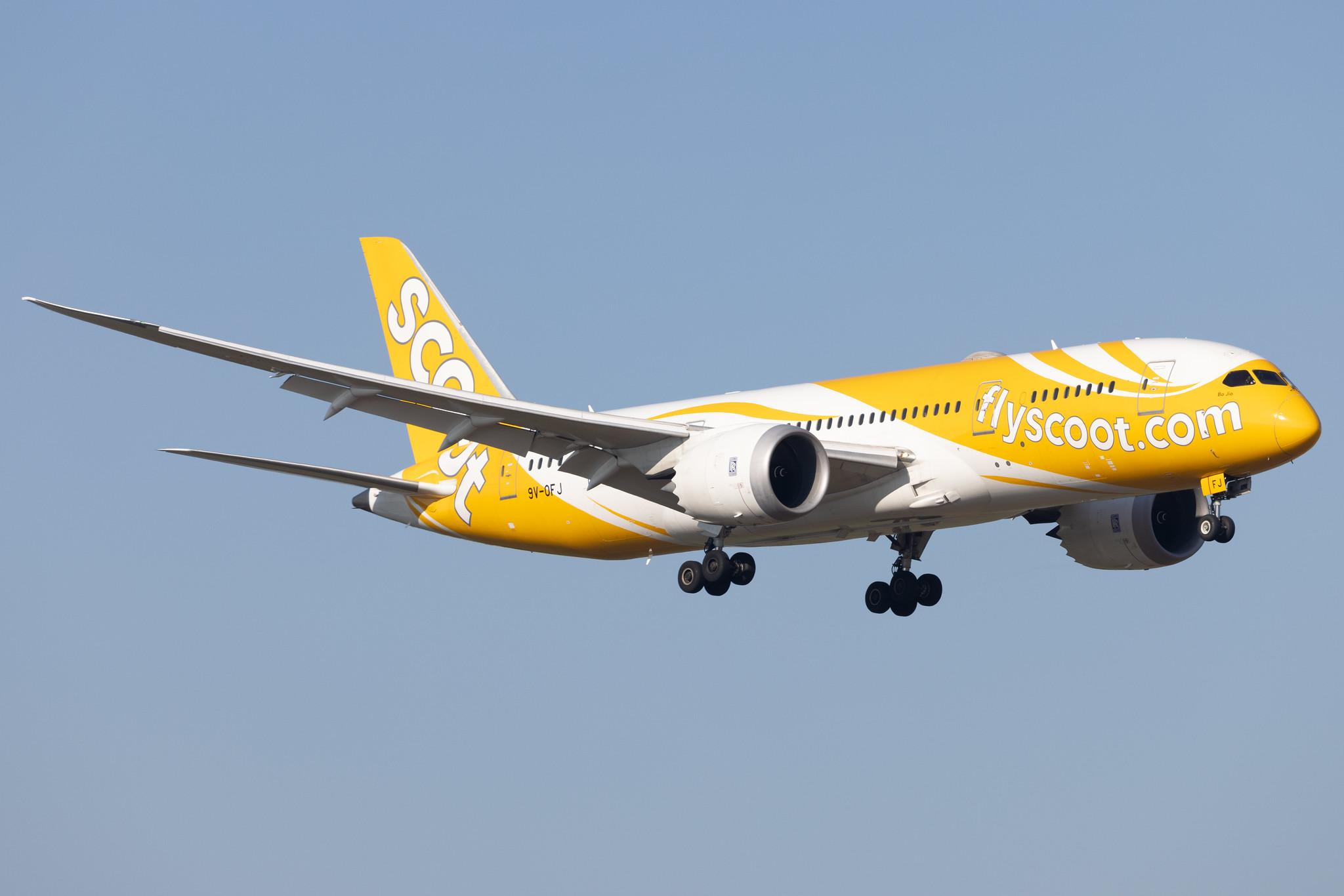 Flughafen Berlin Brandenburg: Scoot (TR / TGW) |  Boeing 787-8 Dreamliner B788 | 9V-OFJ | MSN 37126