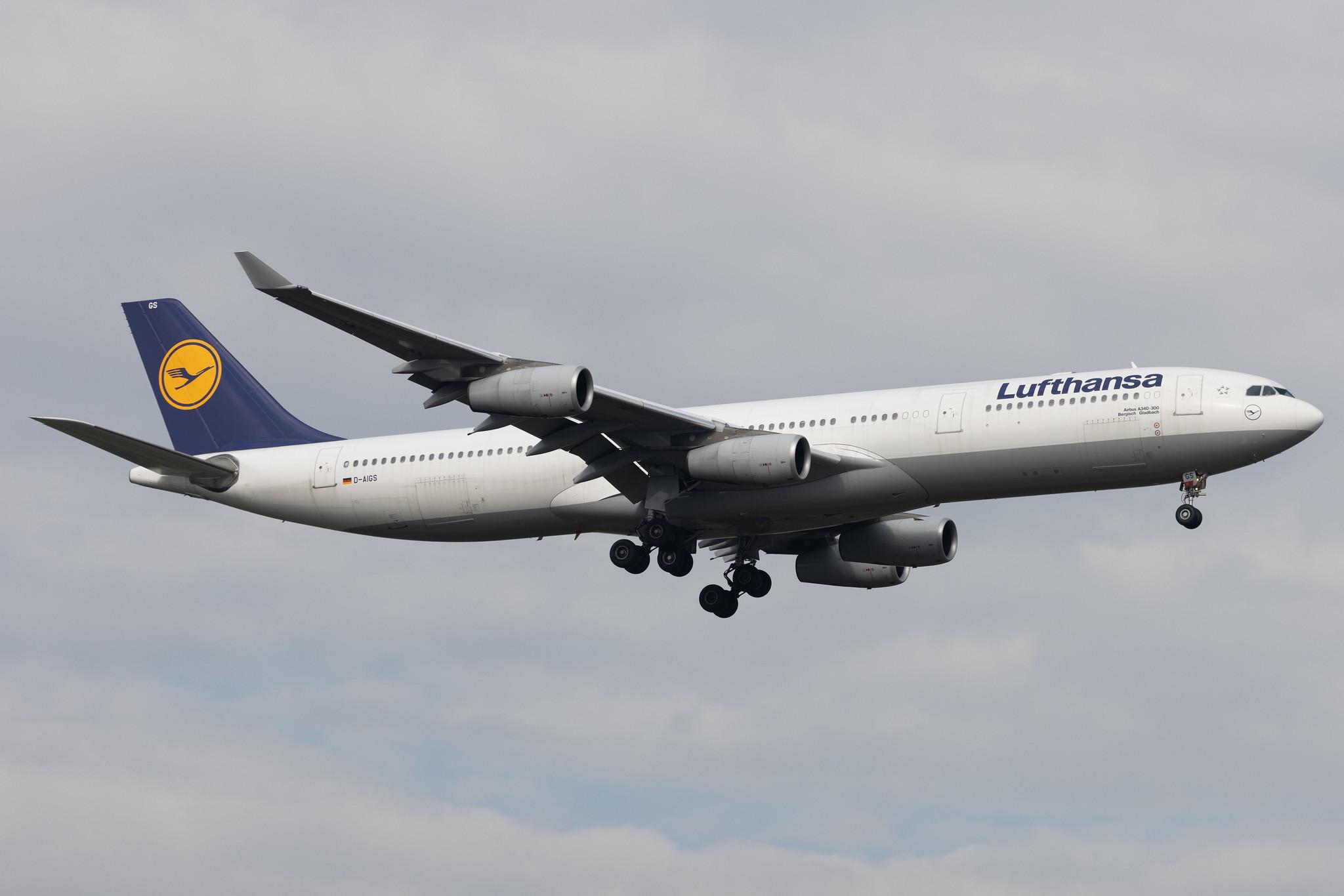 Frankfurt Airport: Lufthansa (LH / DLH) | Airbus A340-313 A343 | D-AIGS | MSN 0297