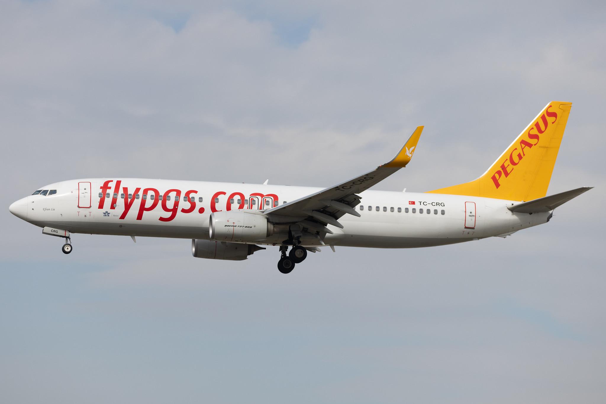 Frankfurt Airport: Pegasus (PC / PGT) | Operator: Pegasus Airlines | Boeing 737-82R B738 | TC-CRG | MSN 63705