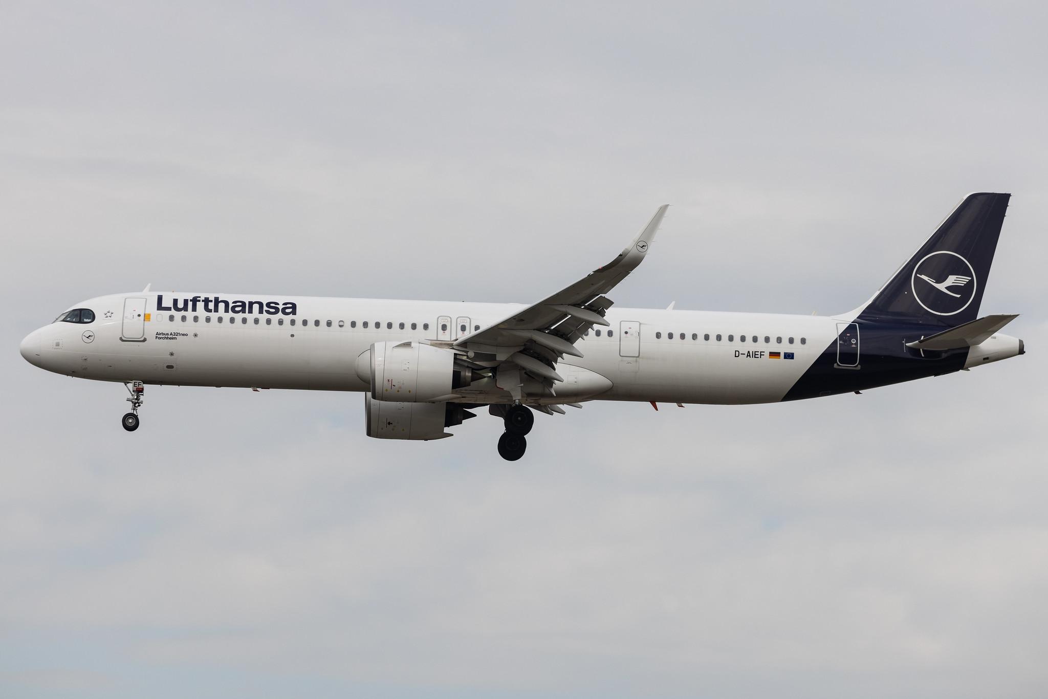 Frankfurt Airport: Lufthansa (LH / DLH) | Airbus A321-271NX A21N | D-AIEF | MSN 10010