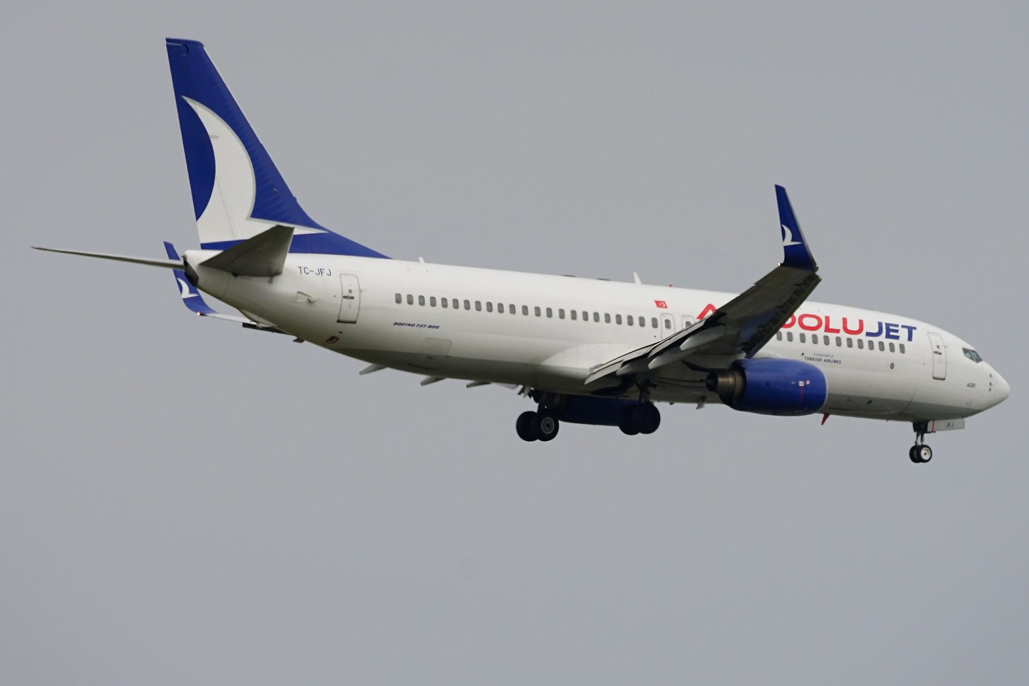 Frankfurt Airport: AnadoluJet (TK / THY) | Operator: Turkish Airlines | Boeing 737-8F2 B738 | TC-JFJ | MSN 29772