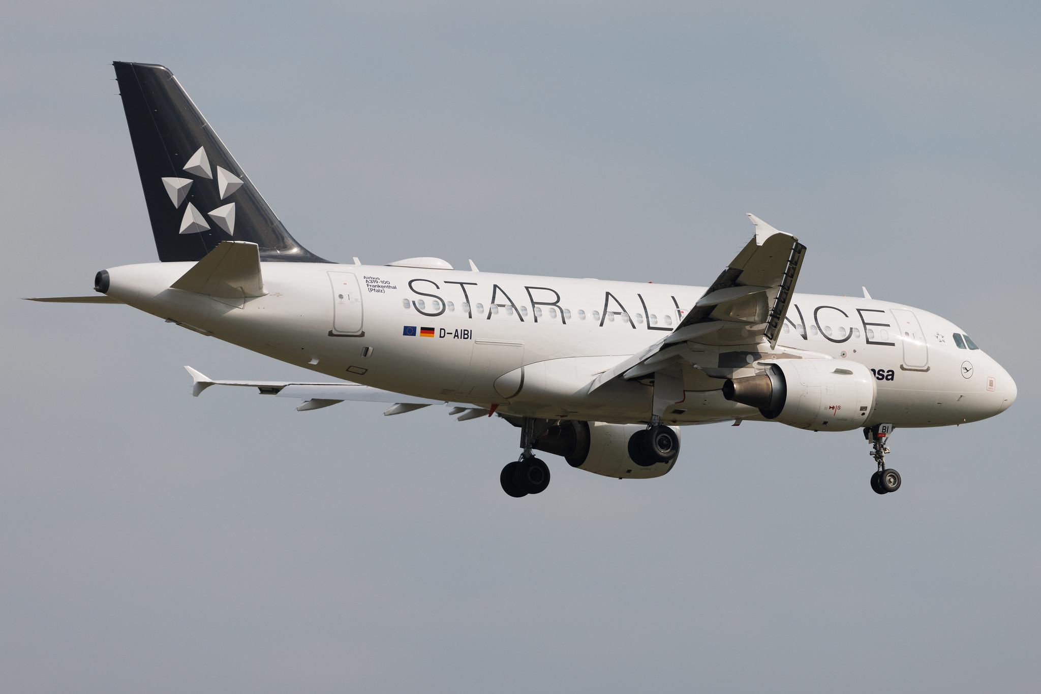 Frankfurt Airport: Lufthansa (LH / DLH) | Livery: Star Alliance Livery | Airbus A319-112 A319 | D-AIBI | MSN 5284