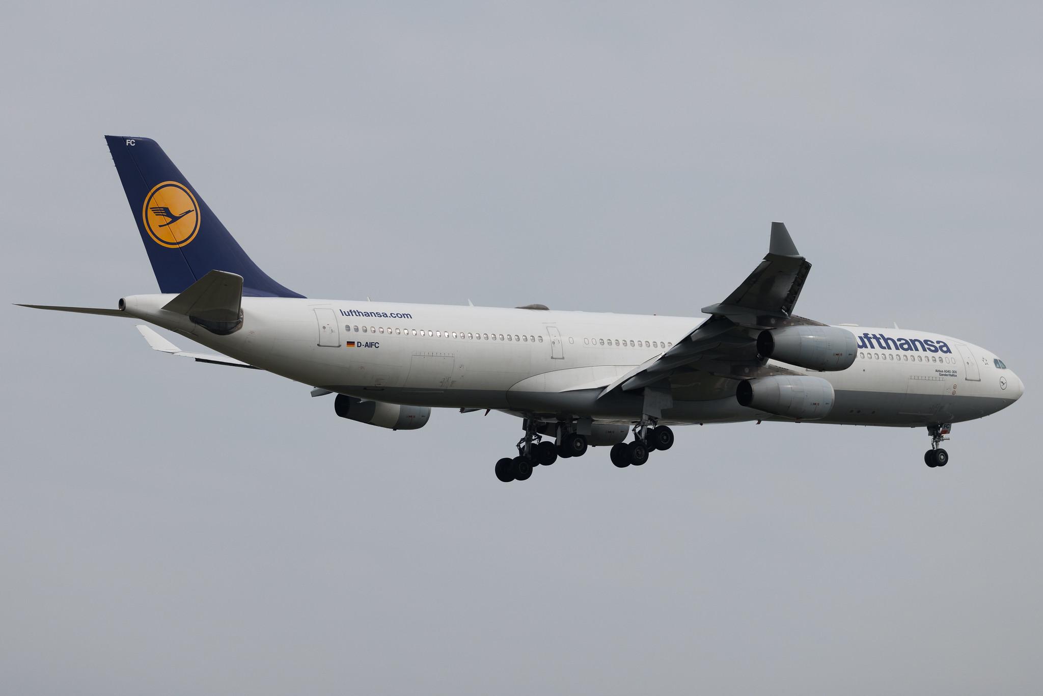 Frankfurt Airport: Lufthansa (LH / DLH) | Airbus A340-313 A343 | D-AIFC | MSN 0379