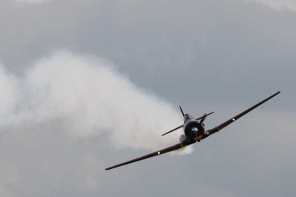 Flugplatz Bienenfarm: Private owner | Canadian Car and Foundry T-6 Harvard | D-FAME | MSN CCF4-77