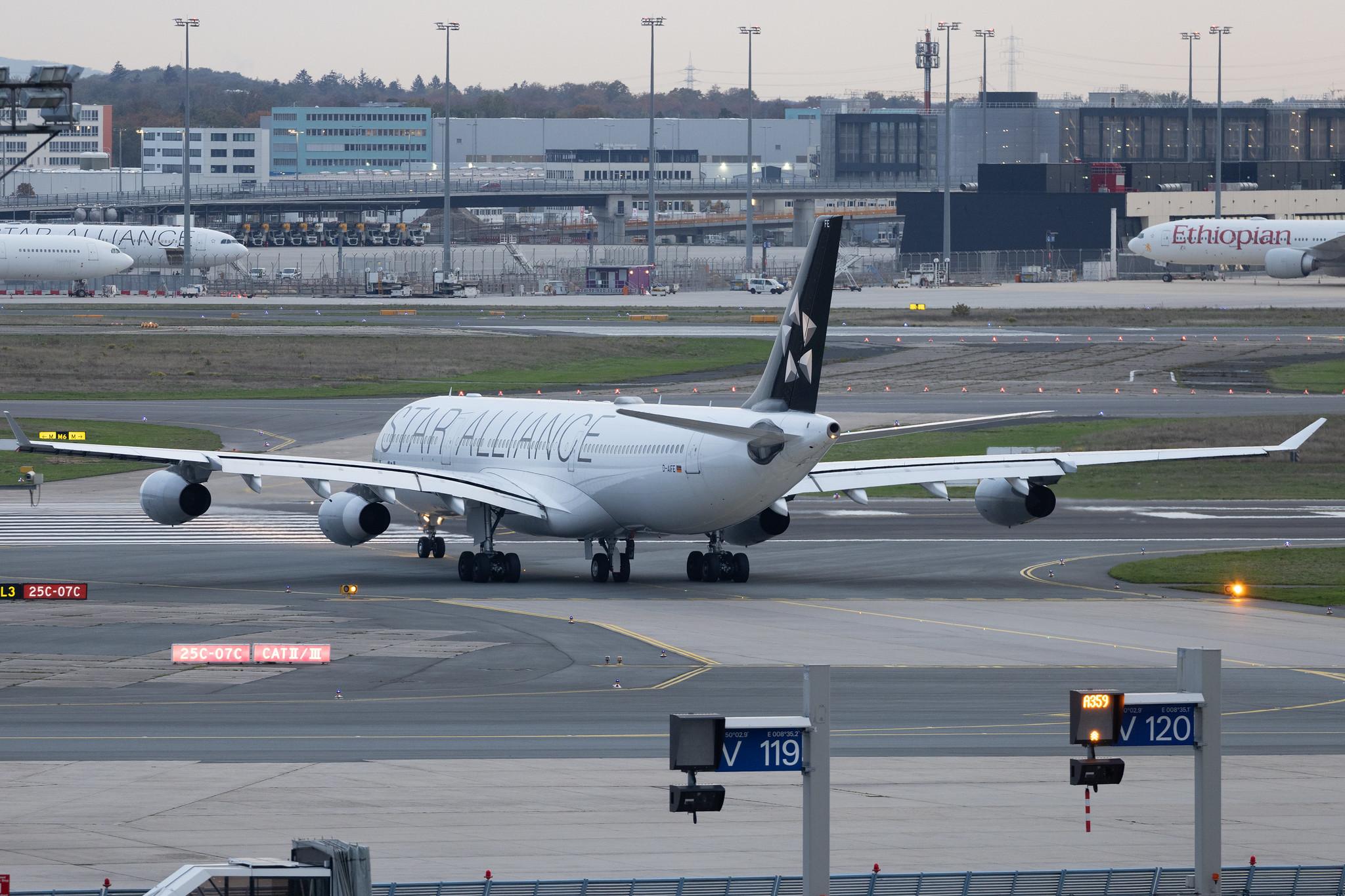 Frankfurt Airport: Lufthansa (LH / DLH) | Airbus A340-313 A343 | D-AIFE | MSN 0434