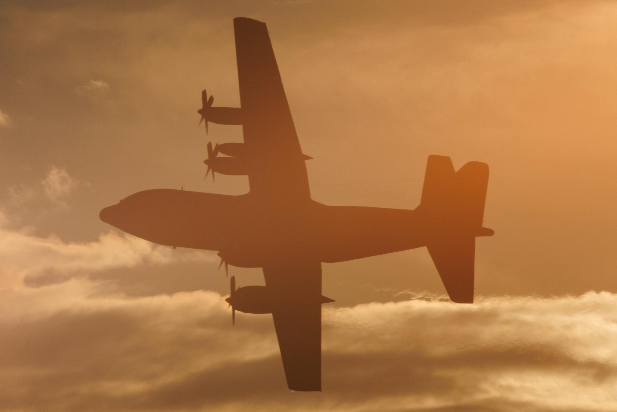 ANTIDOTUM Airshow Leszno: Polish Air Force | Lockheed C-130E Hercules (L-382) C130 | 1505 | MSN 382-4435