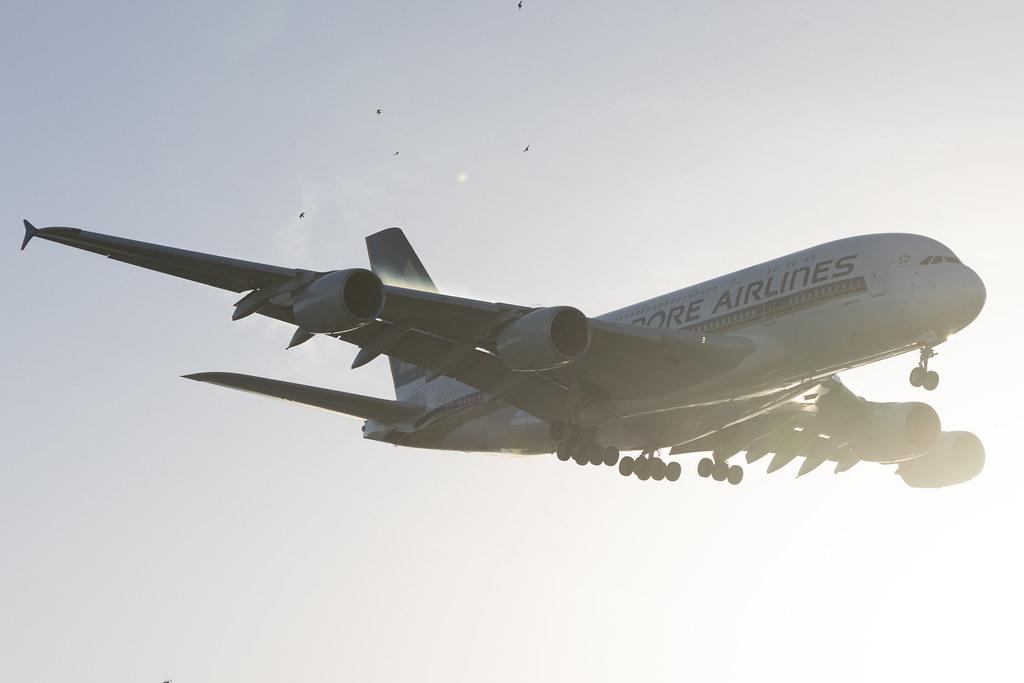 London Heathrow: Singapore Airlines (SQ / SIA) | Airbus A380-841 A388 | 9V-SKQ | MSN 079