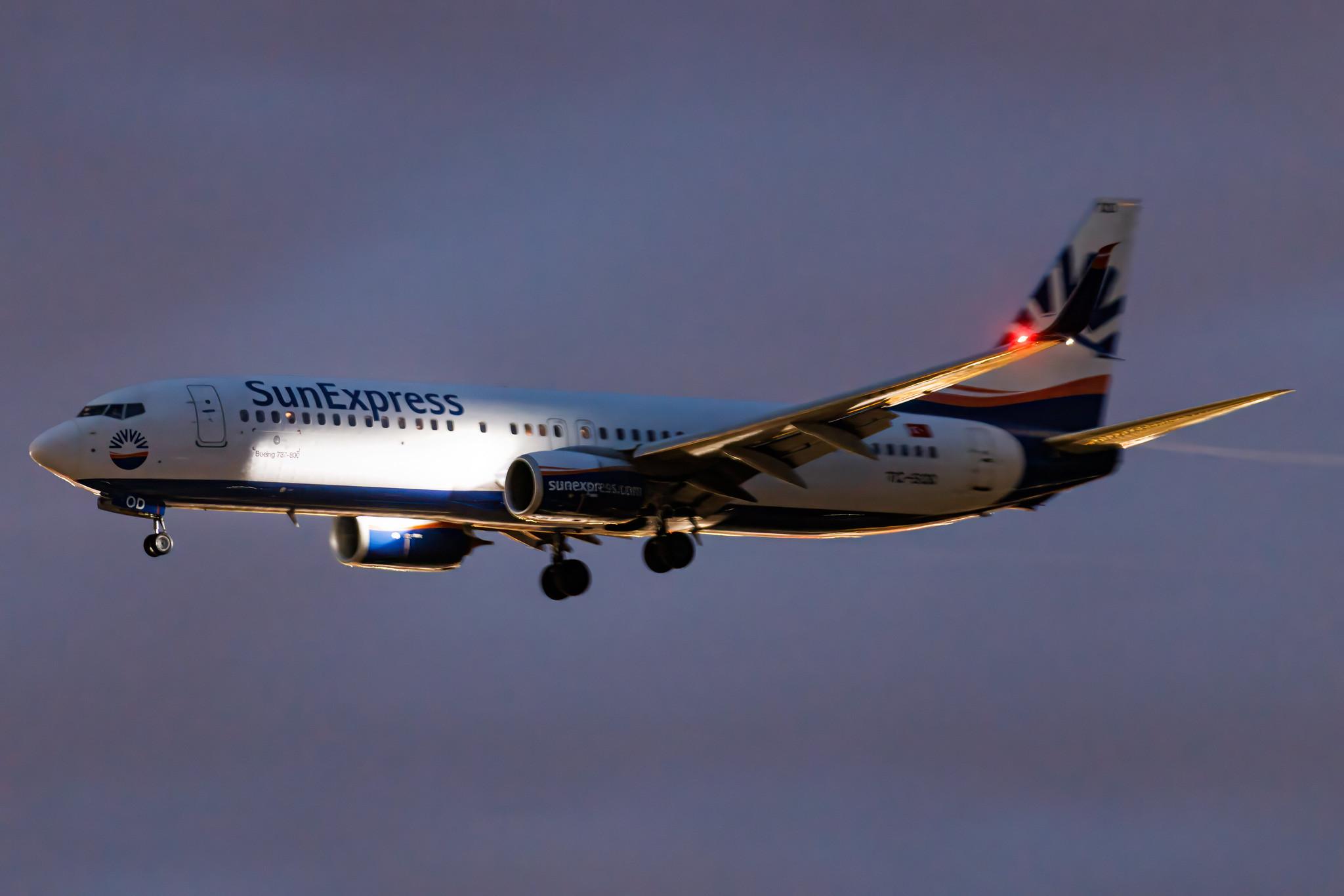 Frankfurt Airport: SunExpress (XQ / SXS) | Boeing 737-8HC B738 | TC-SOD | MSN 61176