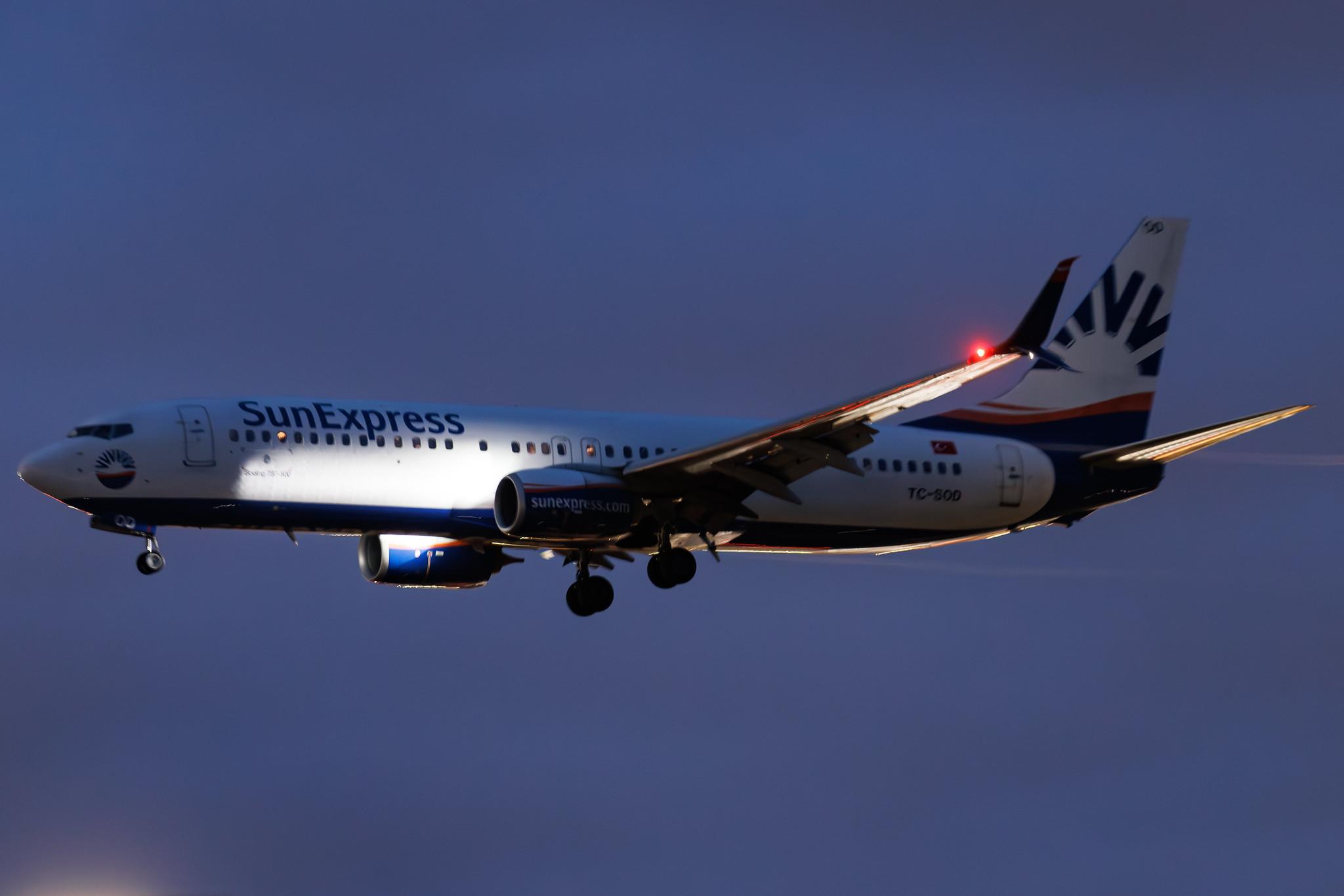 Frankfurt Airport: SunExpress (XQ / SXS) | Boeing 737-8HC B738 | TC-SOD | MSN 61176