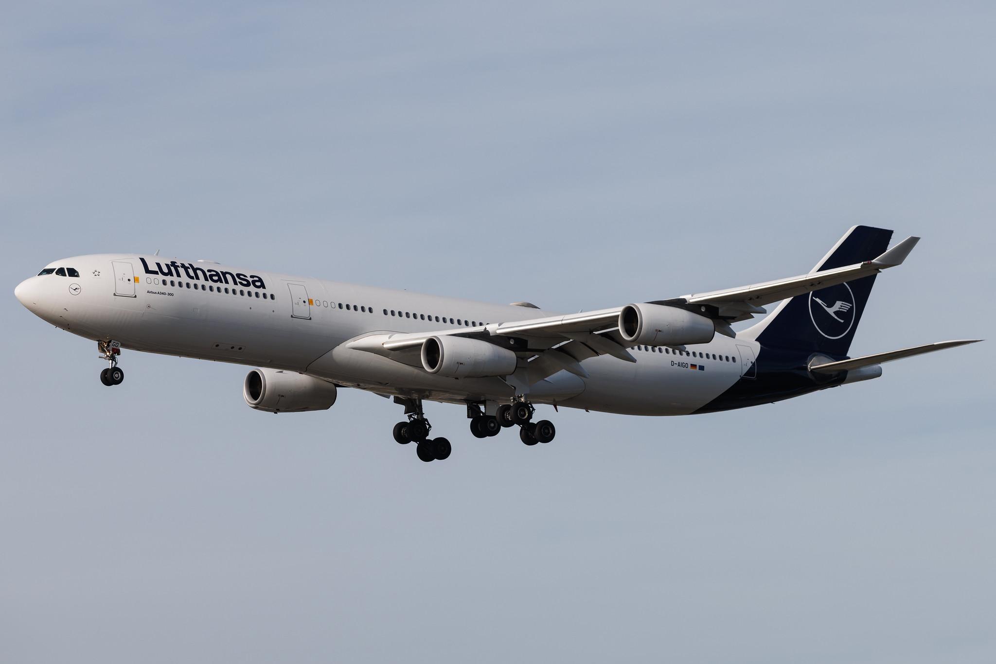 Frankfurt Airport: Lufthansa (LH / DLH) | Airbus A340-313 A343 | D-AIGO | MSN 0233