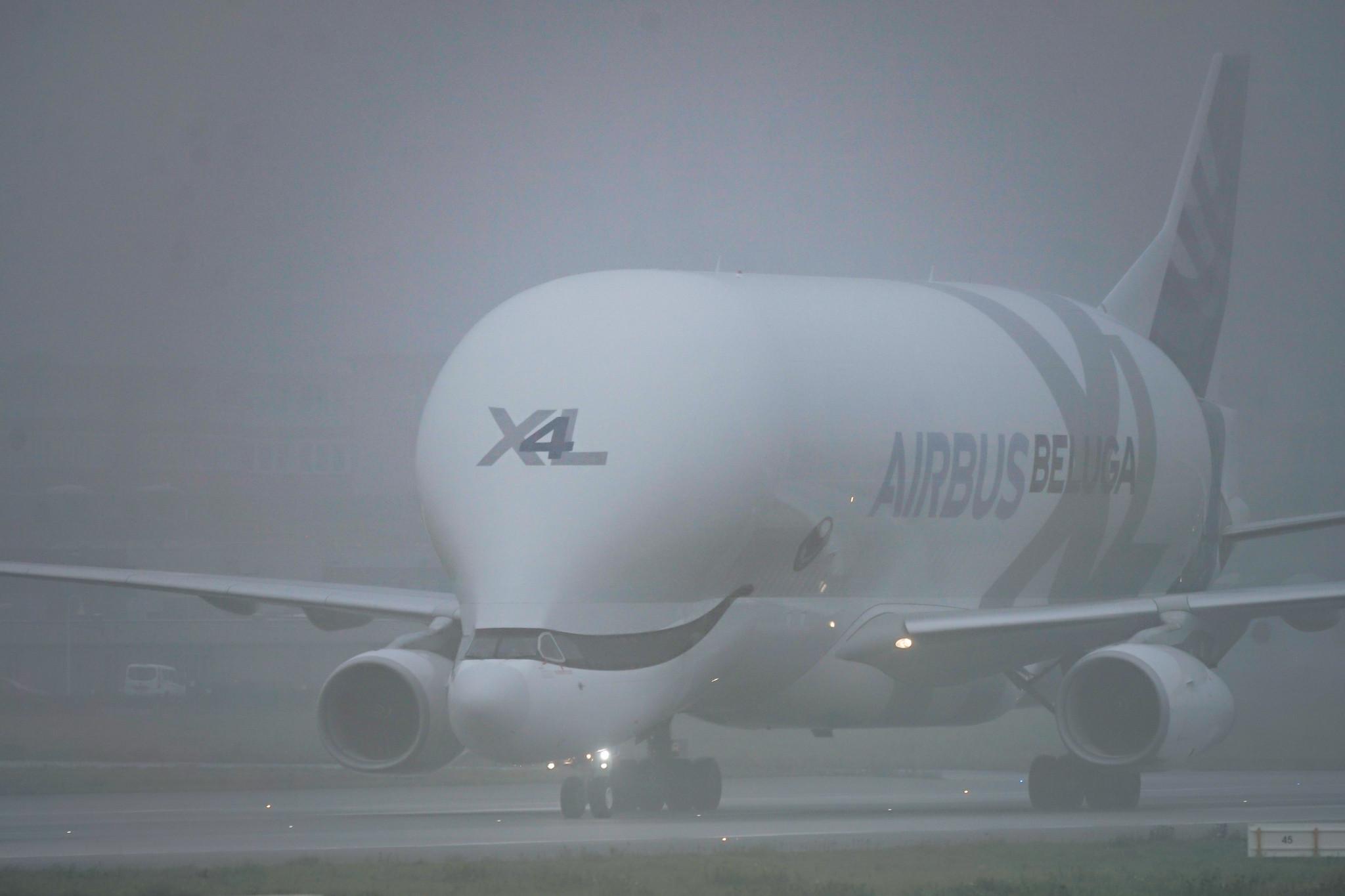 Hamburg Finkenwerder: Airbus Transport International (4Y / BGA) | Airbus A330-743L Beluga XL A337 | F-GXLJ | MSN 1985