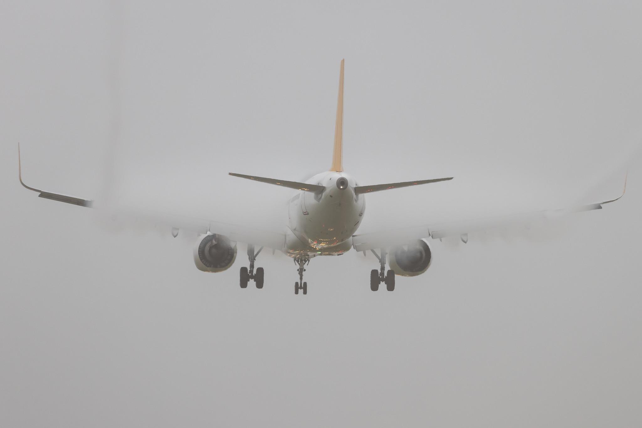 Amsterdam Schiphol: Pegasus (PC / PGT) | Operator: Pegasus Airlines | Airbus A321-251NX A21N | TC-RBS | MSN 10953
